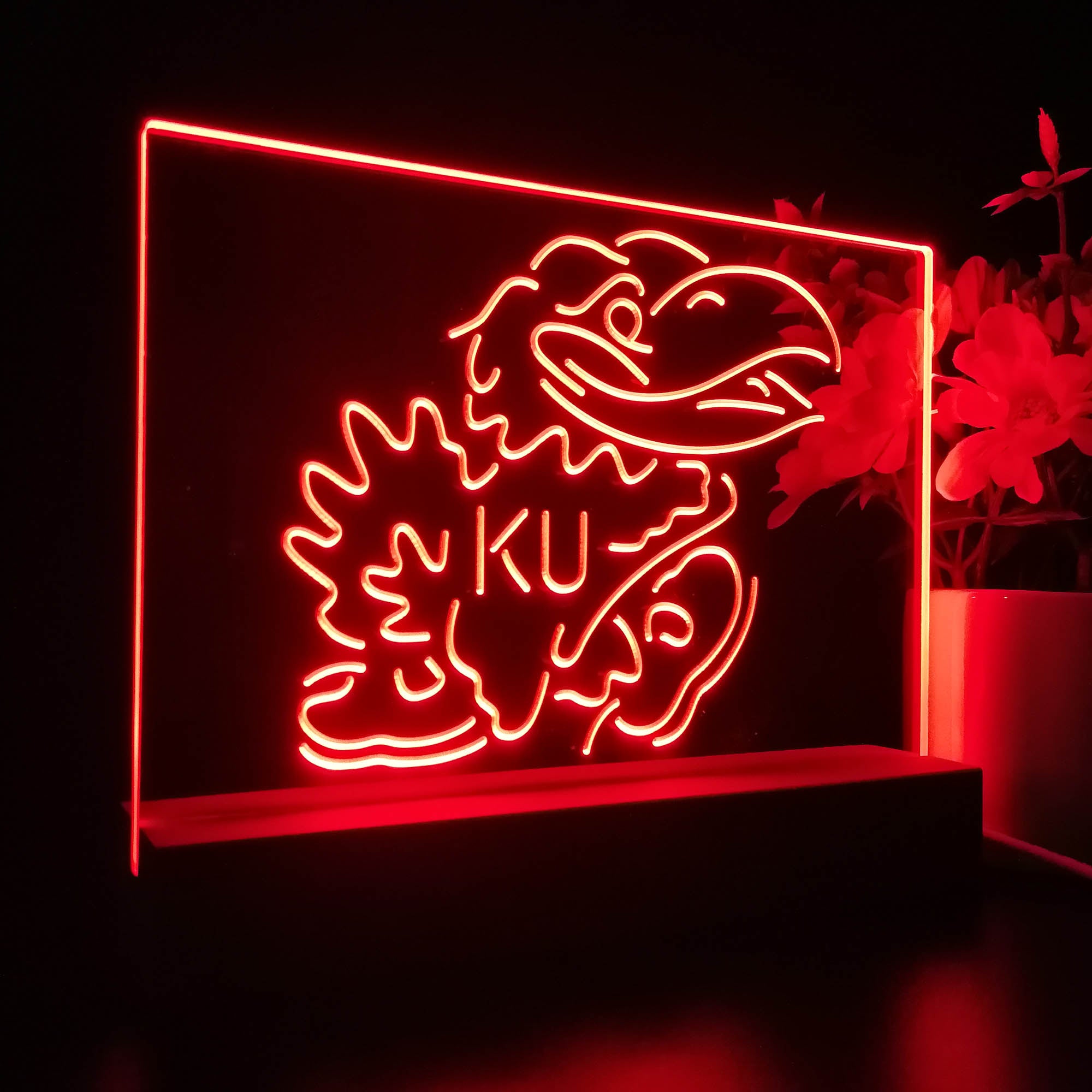Kansas Jayhawks KU 3D LED Illusion Sport Team Night Light