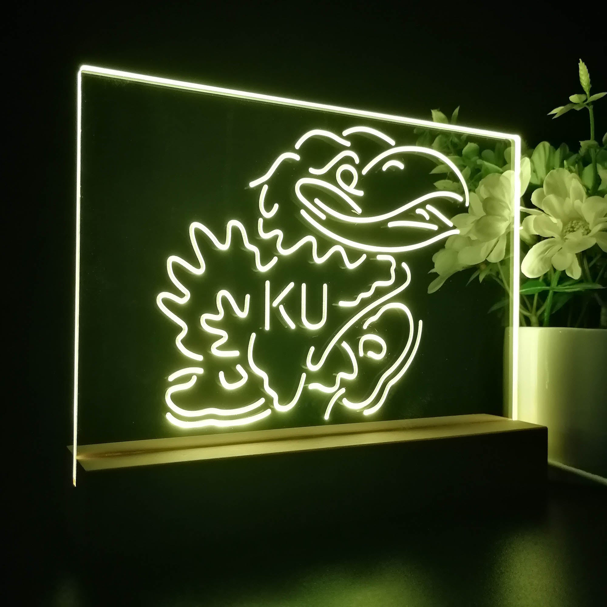 Kansas Jayhawks KU 3D LED Illusion Sport Team Night Light