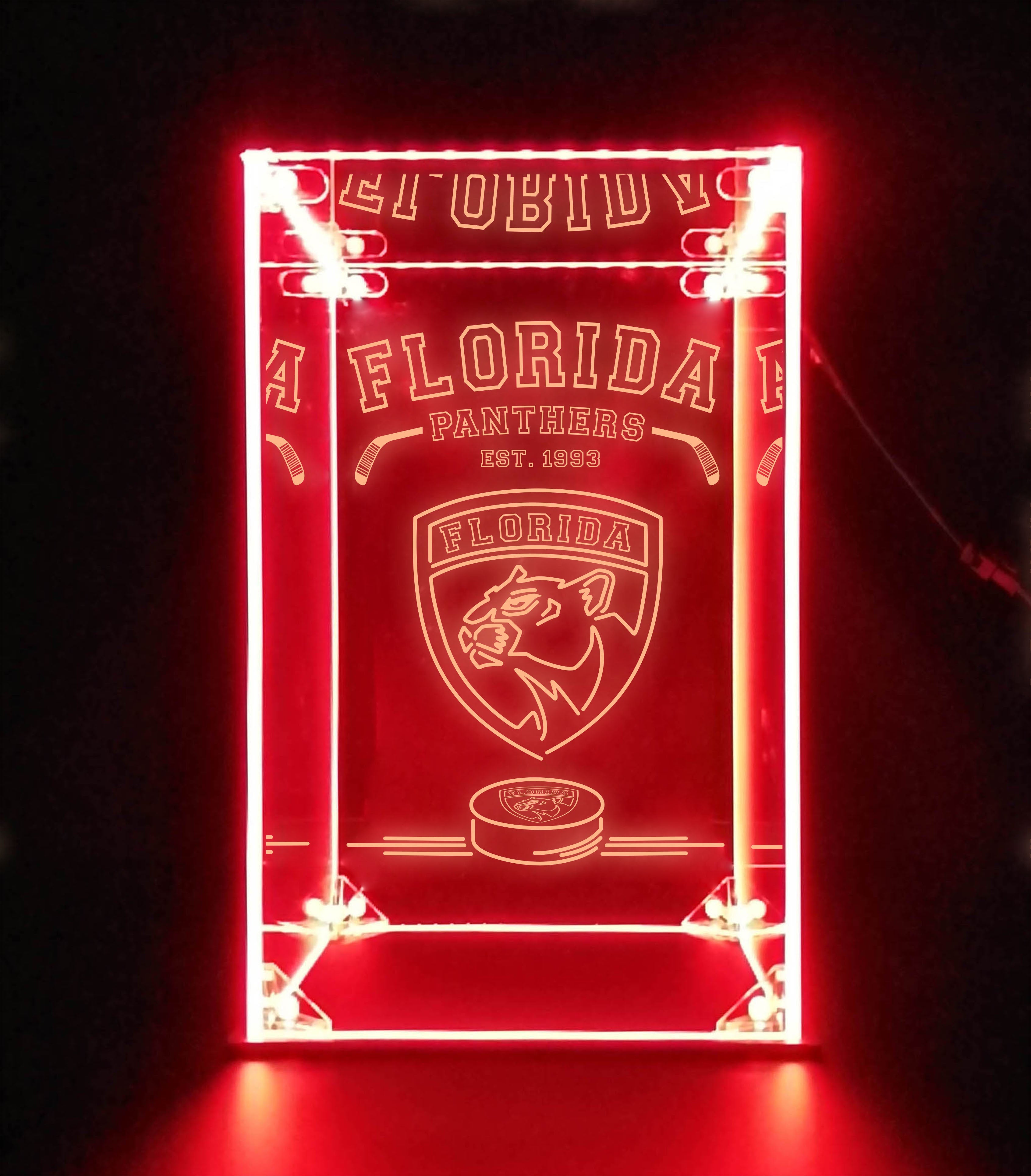 LED Display Case For Florida Panthers Sports Memorabilia