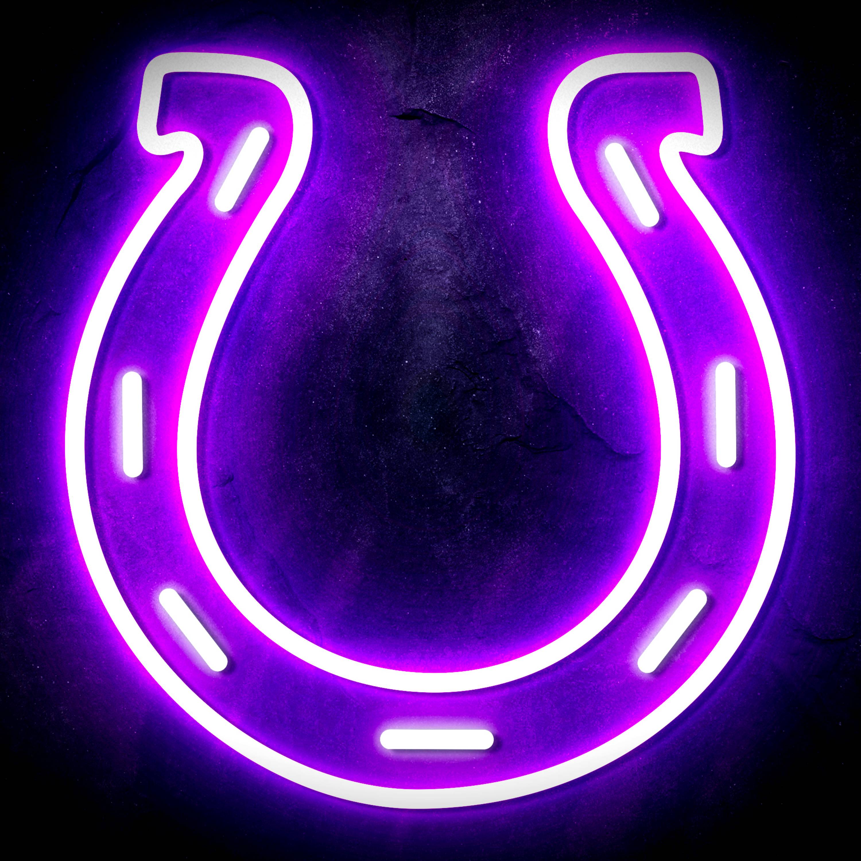 NFL Indianapolis Colts Flex Neon-like LED Sign