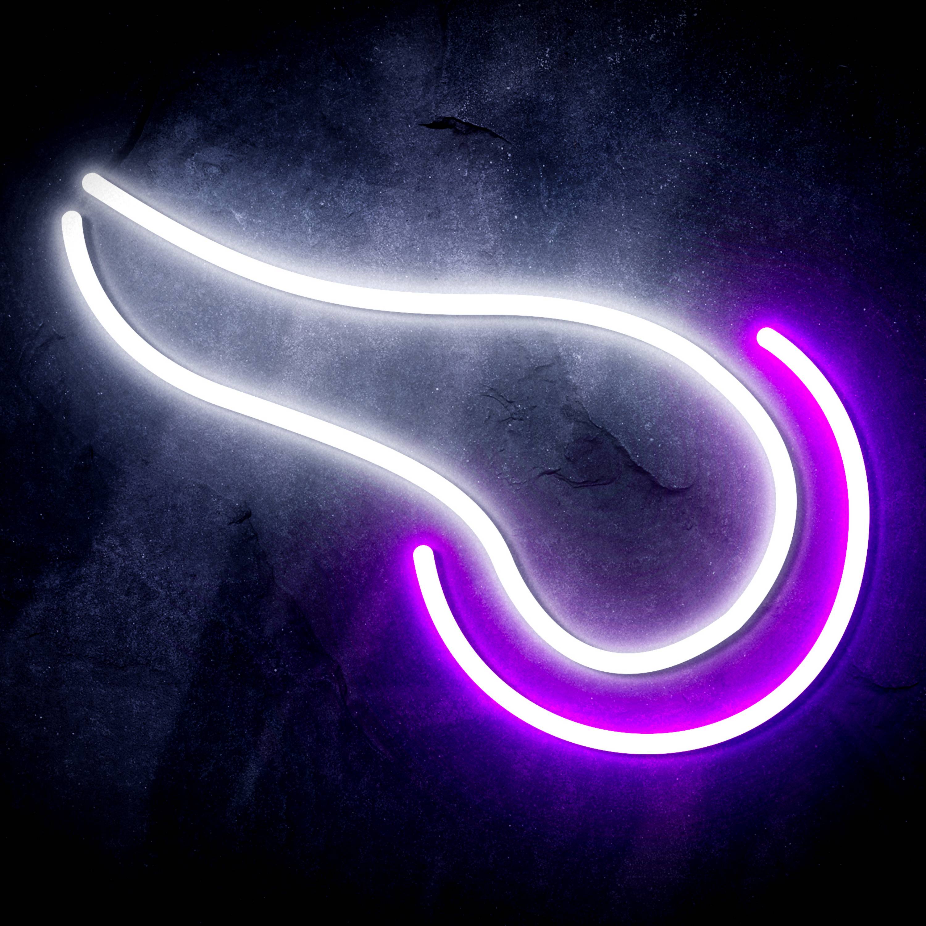 NFL Minnesota Vikings Flex Neon-like LED Sign