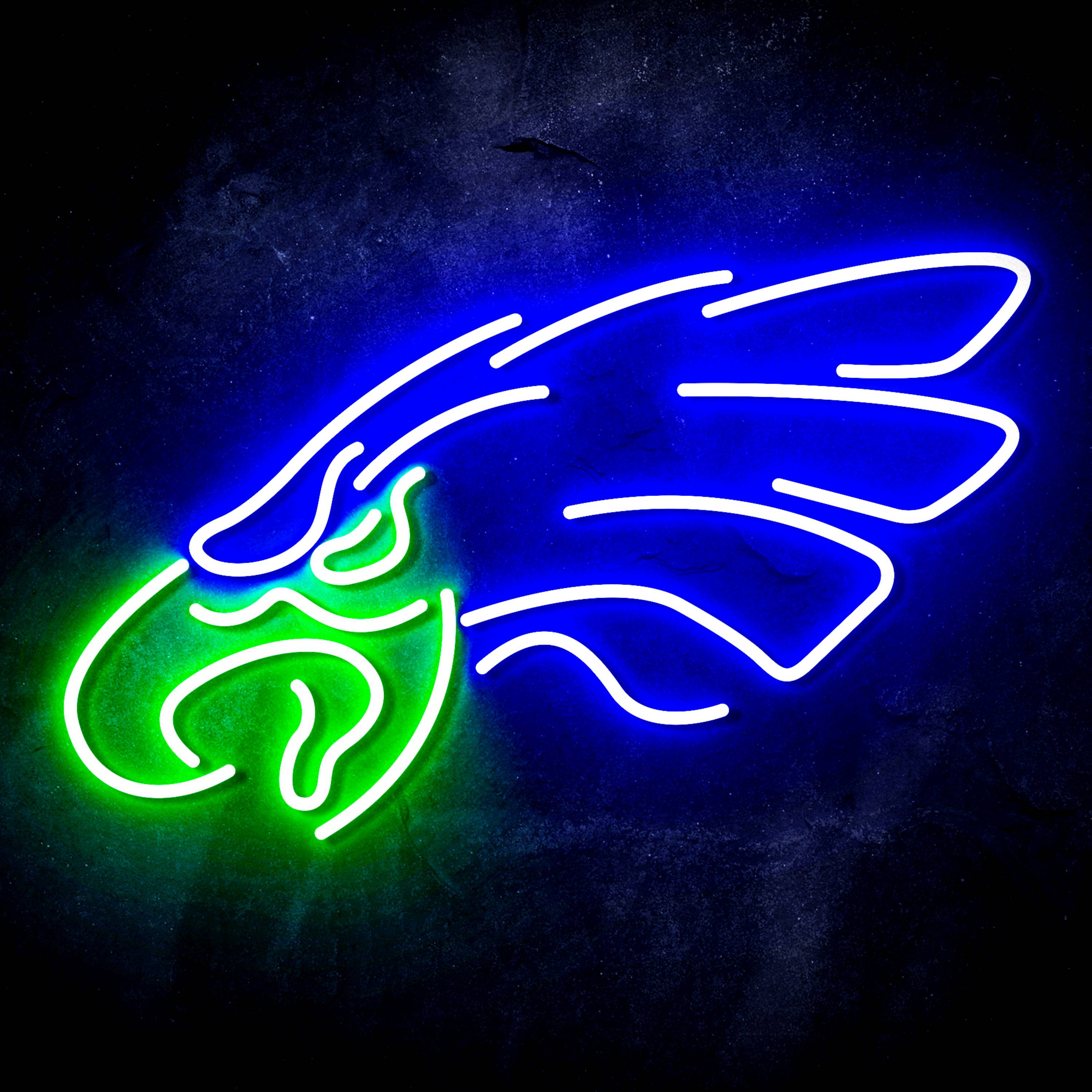 NFL Philadelphia Eagles Flex Neon-like LED Sign