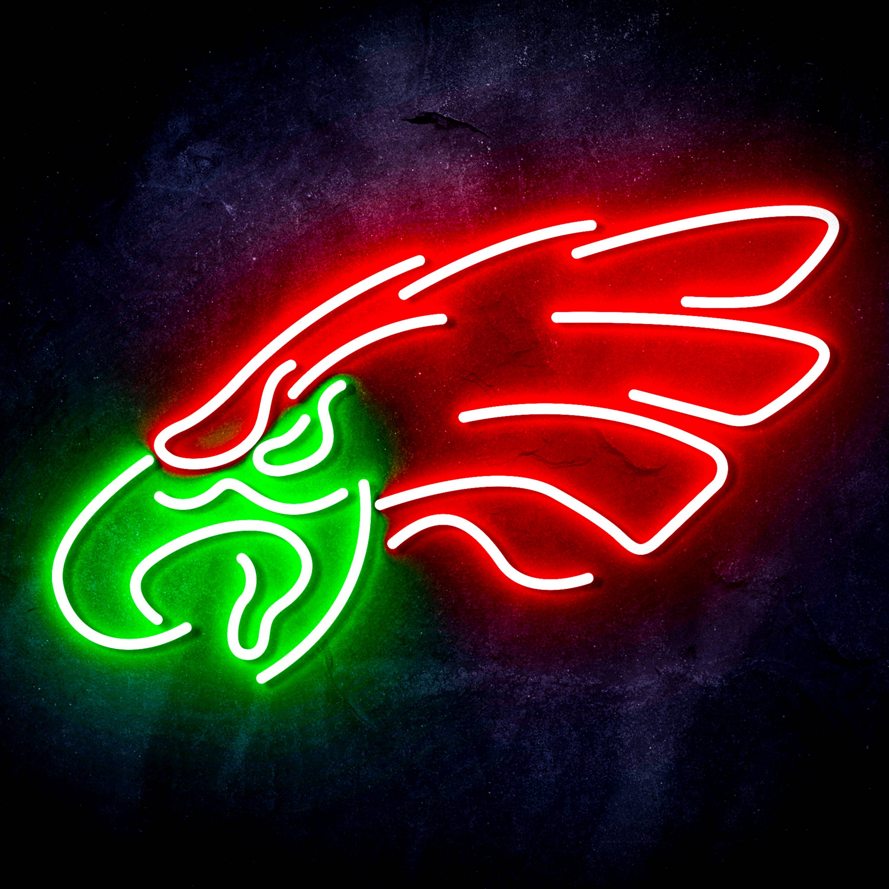 NFL Philadelphia Eagles Flex Neon-like LED Sign