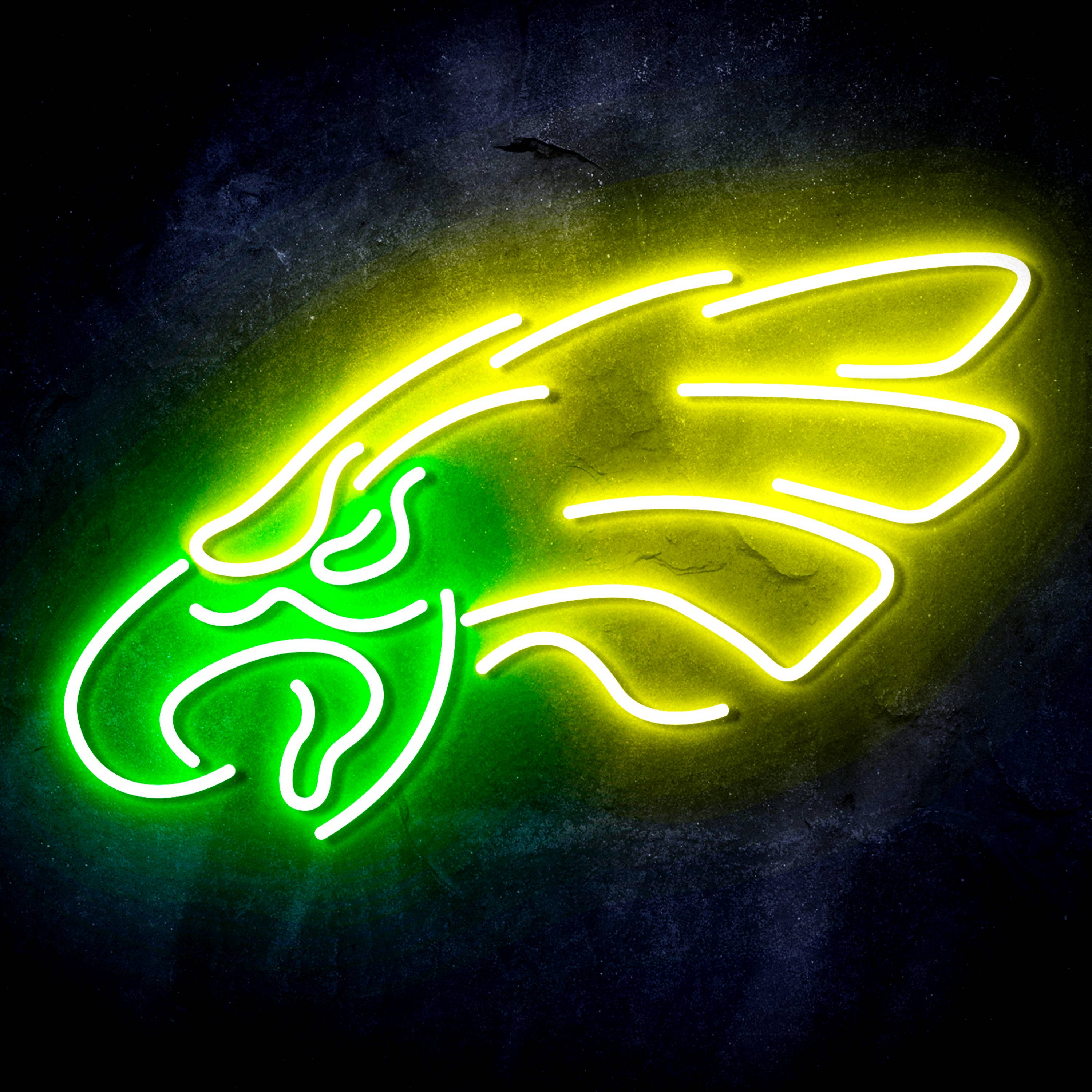 NFL Philadelphia Eagles Flex Neon-like LED Sign