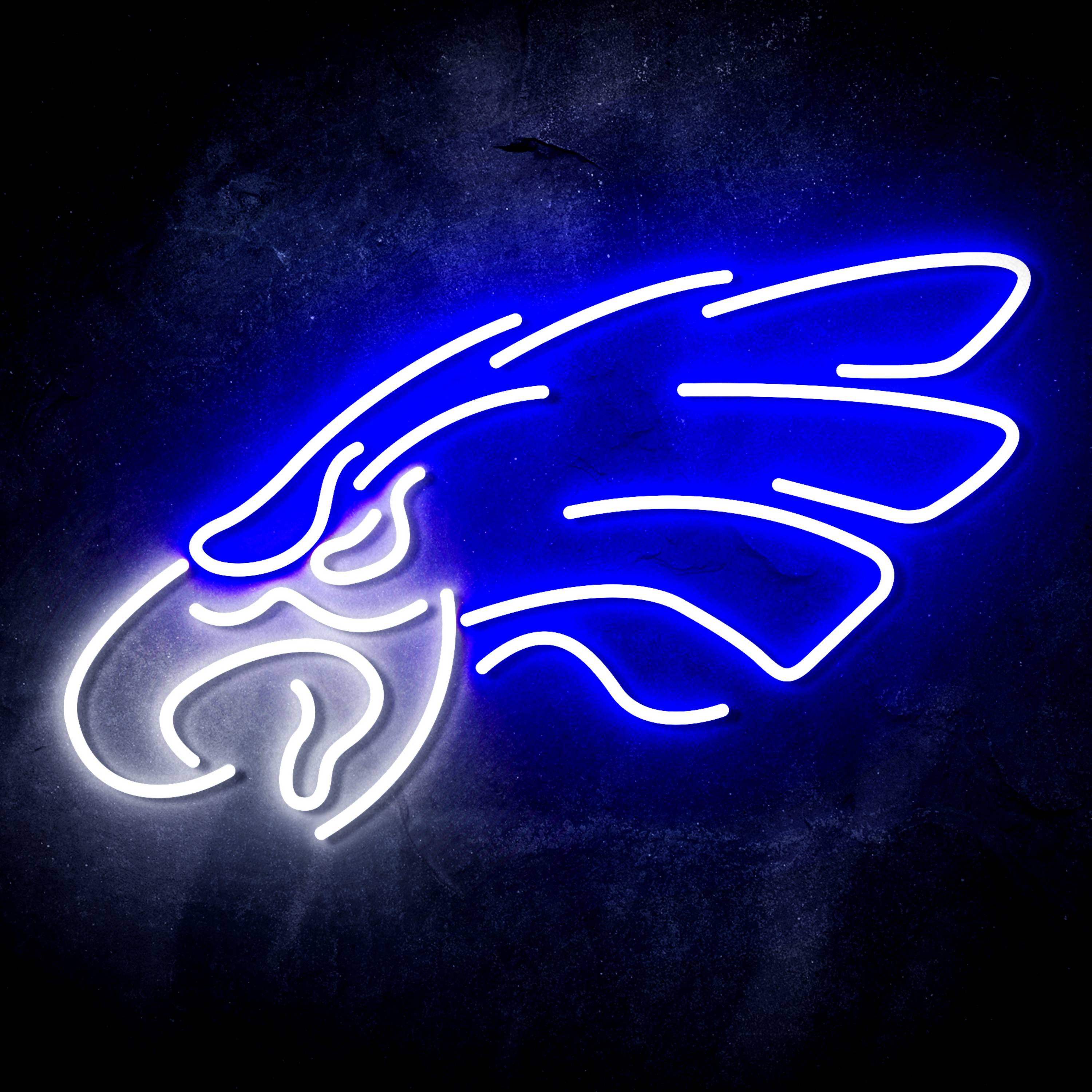 NFL Philadelphia Eagles Flex Neon-like LED Sign