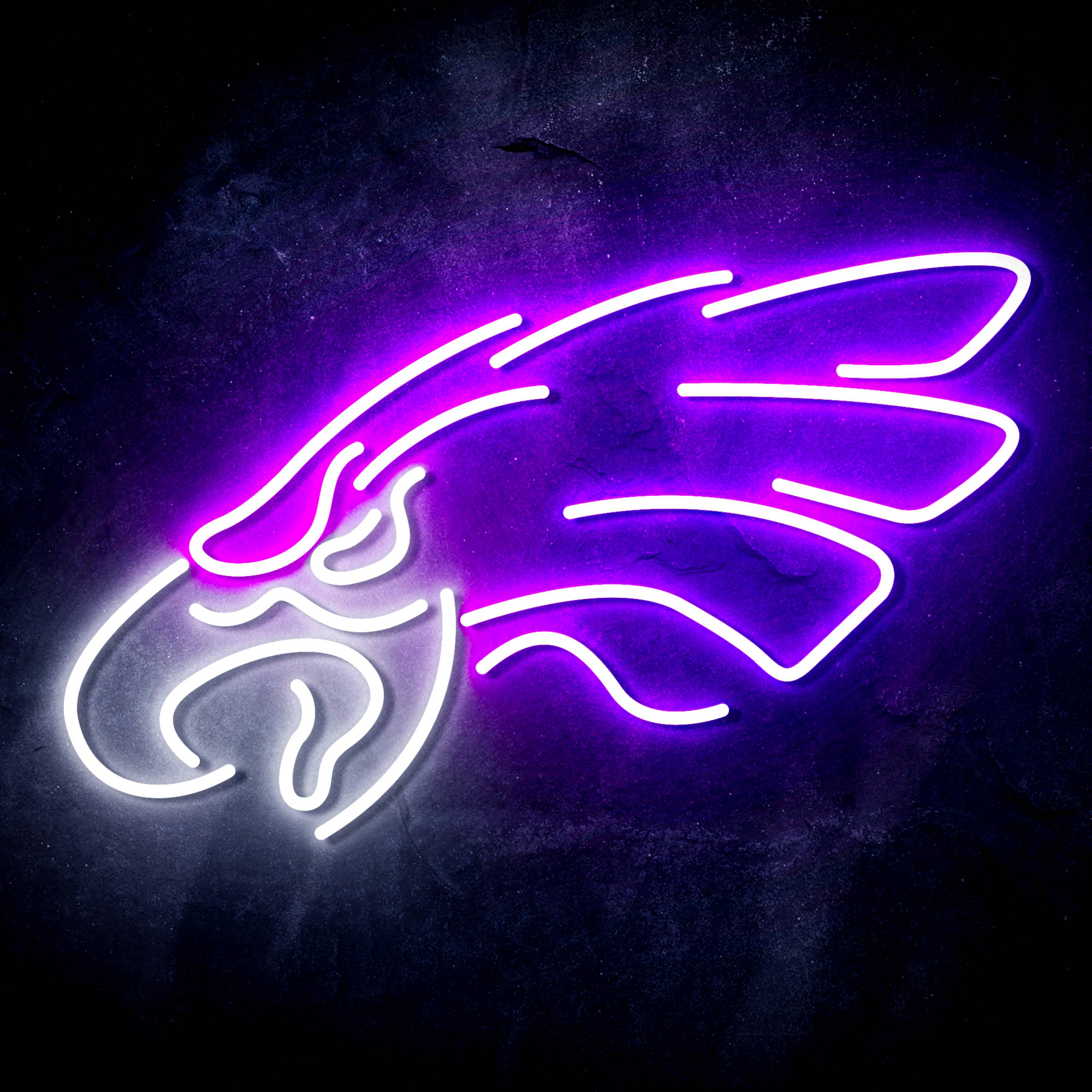 NFL Philadelphia Eagles Flex Neon-like LED Sign