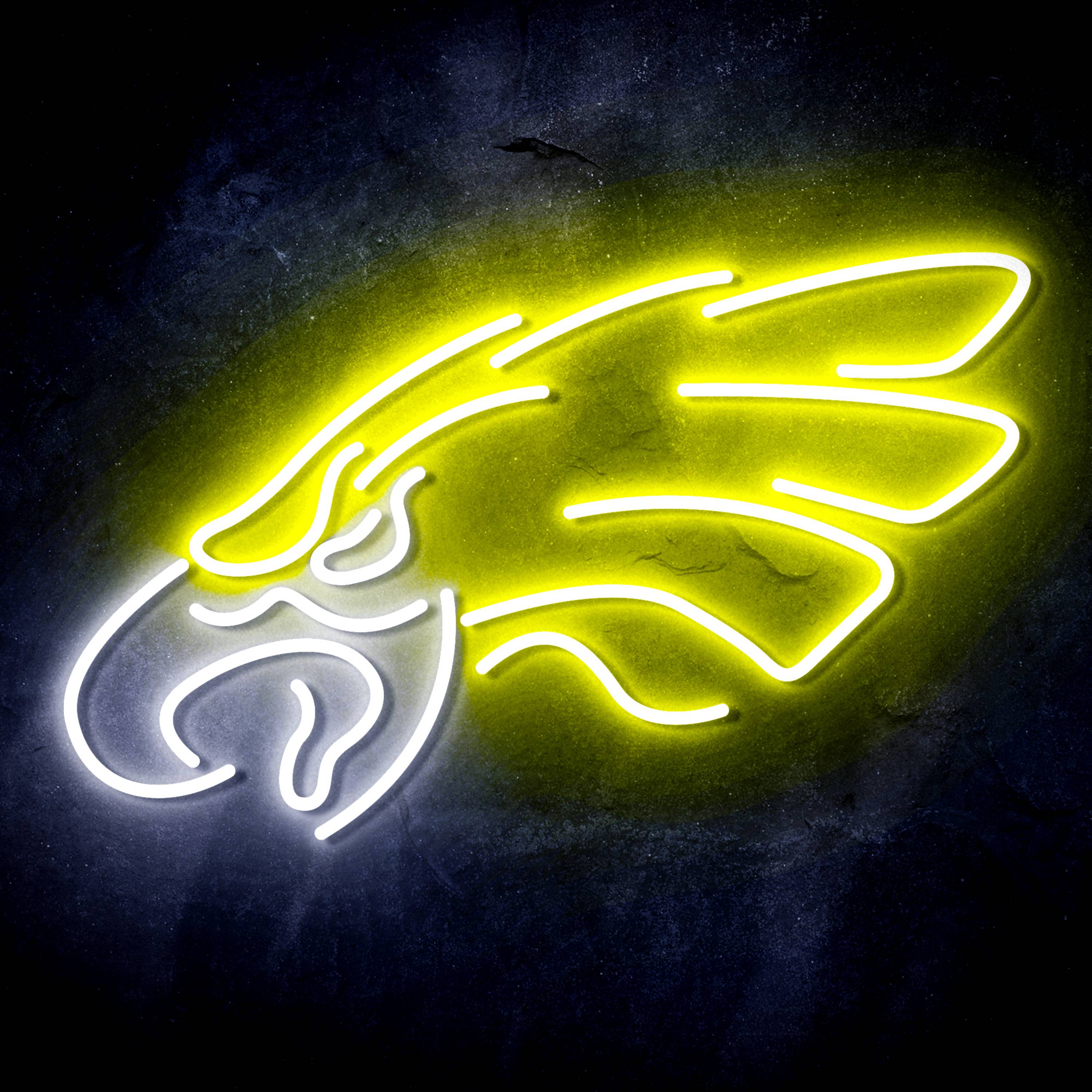 NFL Philadelphia Eagles Flex Neon-like LED Sign