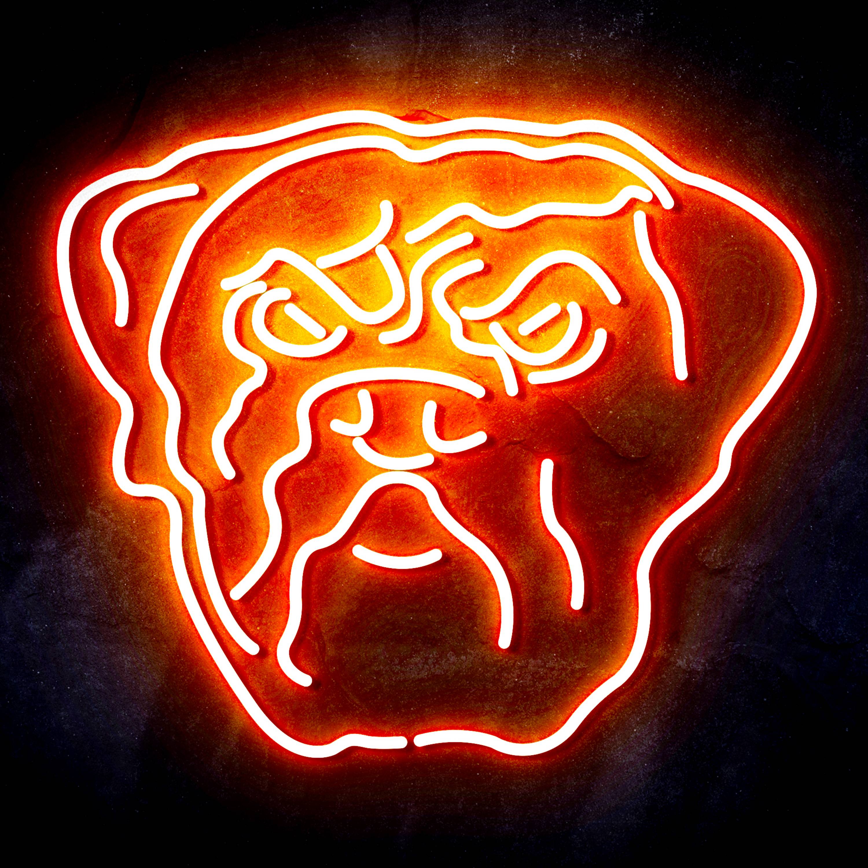 NFL Cleveland Browns Flex Neon-like LED Sign