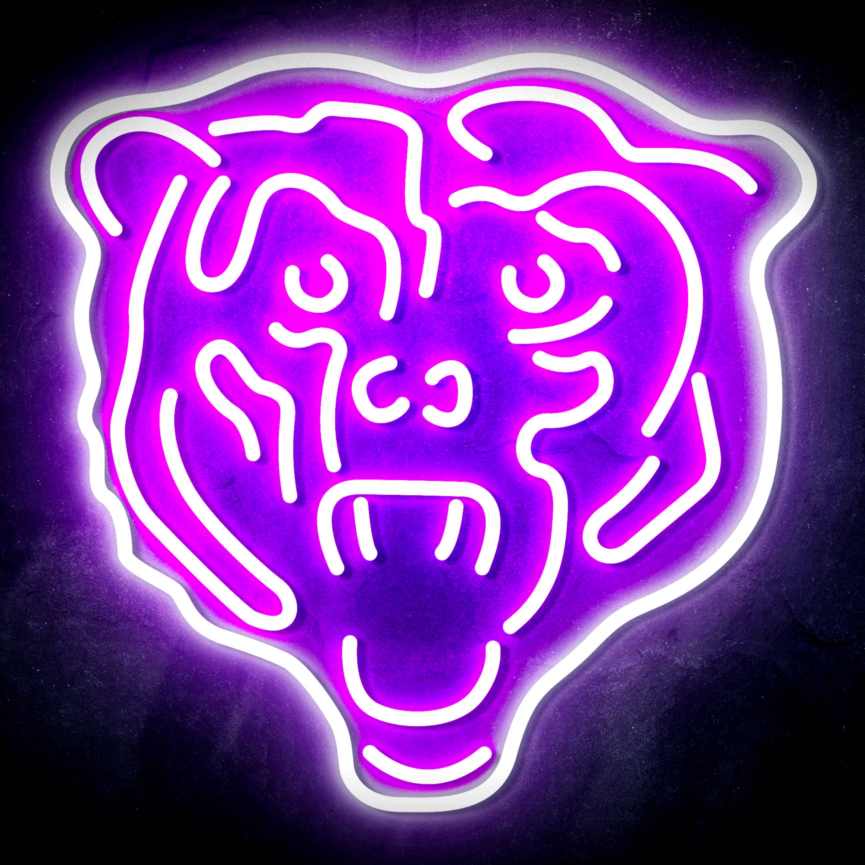 NFL Chicago Bears Flex Neon-like LED Sign