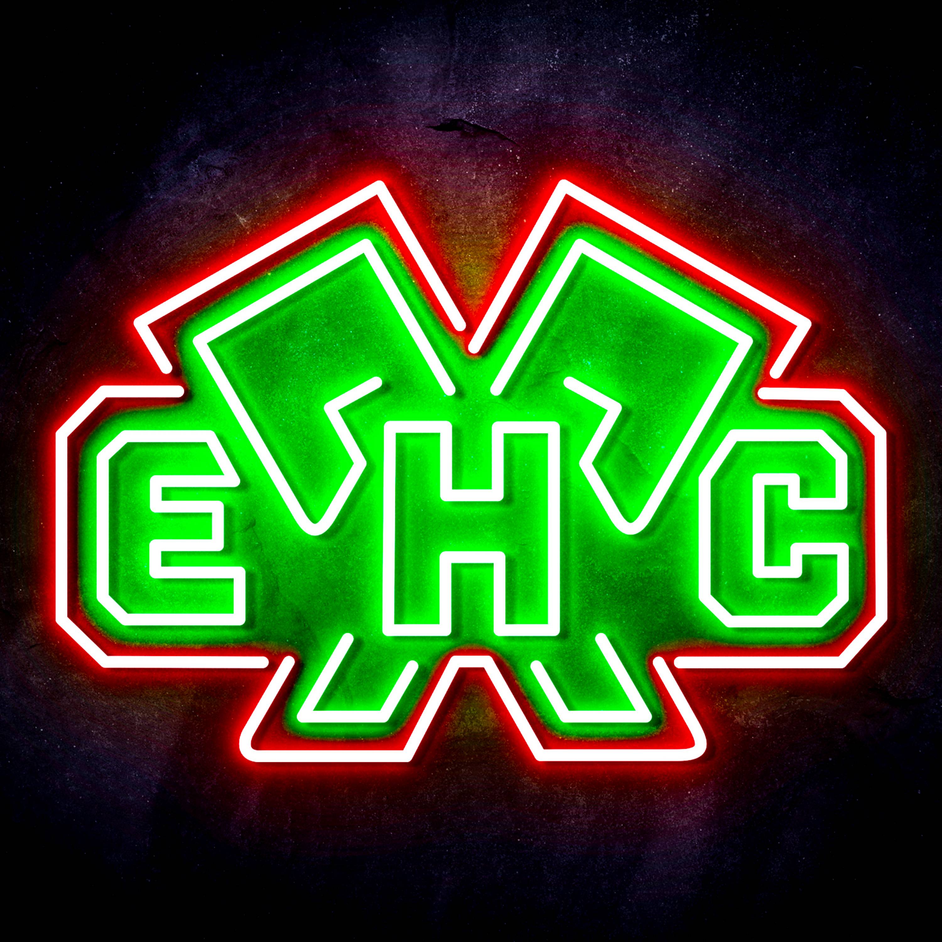 EHC BIEL-BIENNE Flex Neon-like LED Sign