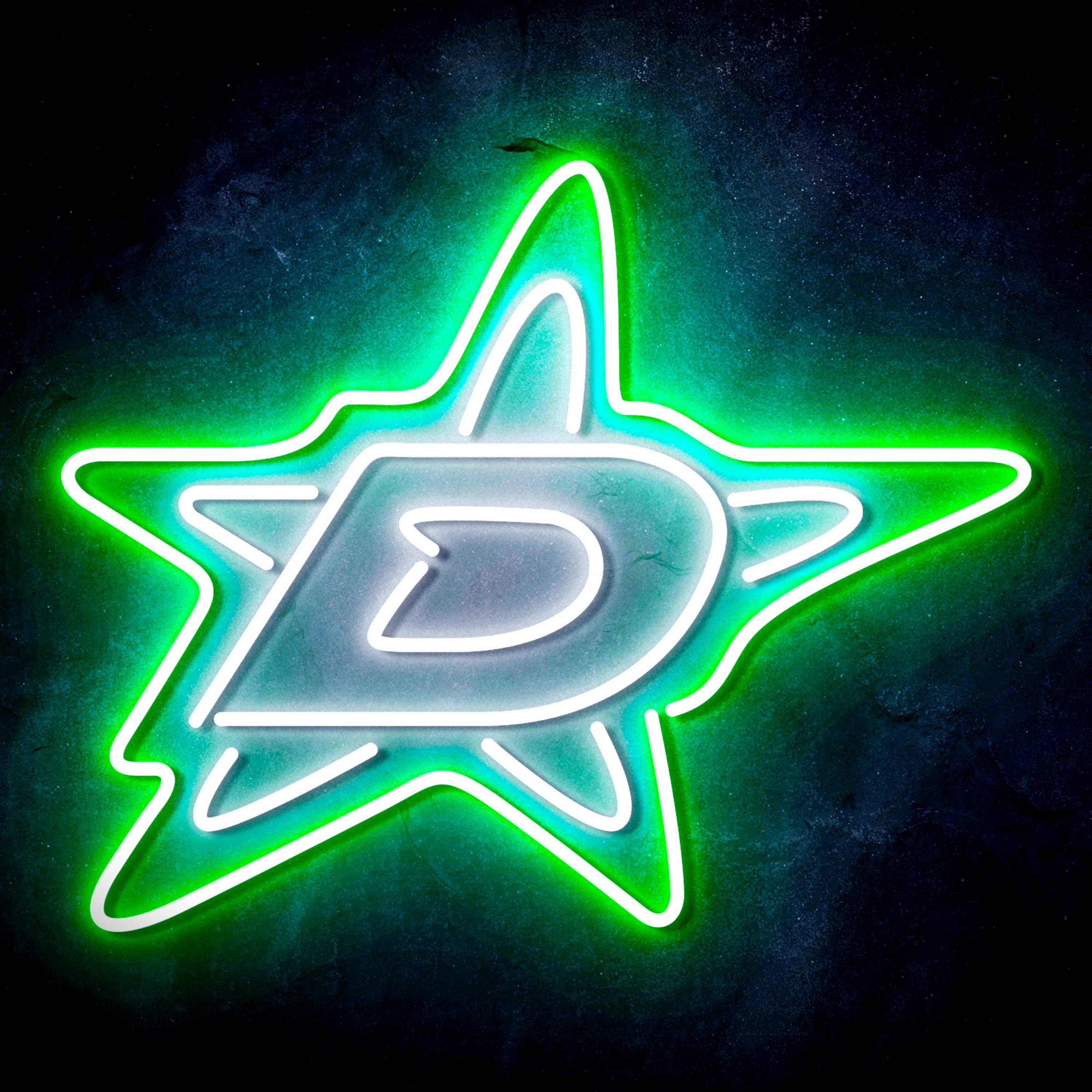 NHL Dallas Stars Flex Neon-like LED Sign