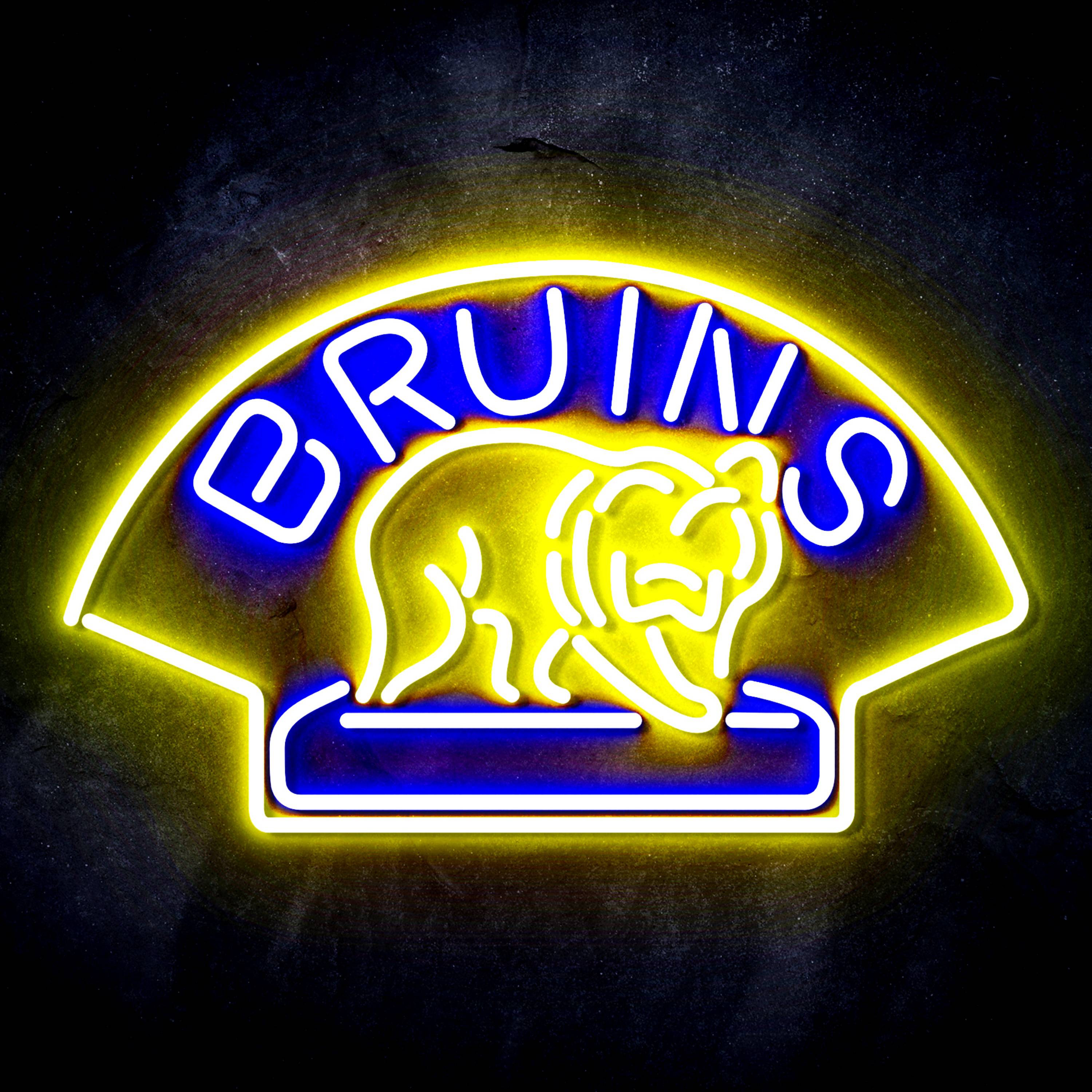 NHL Boston Bruins Flex Neon-like LED Sign