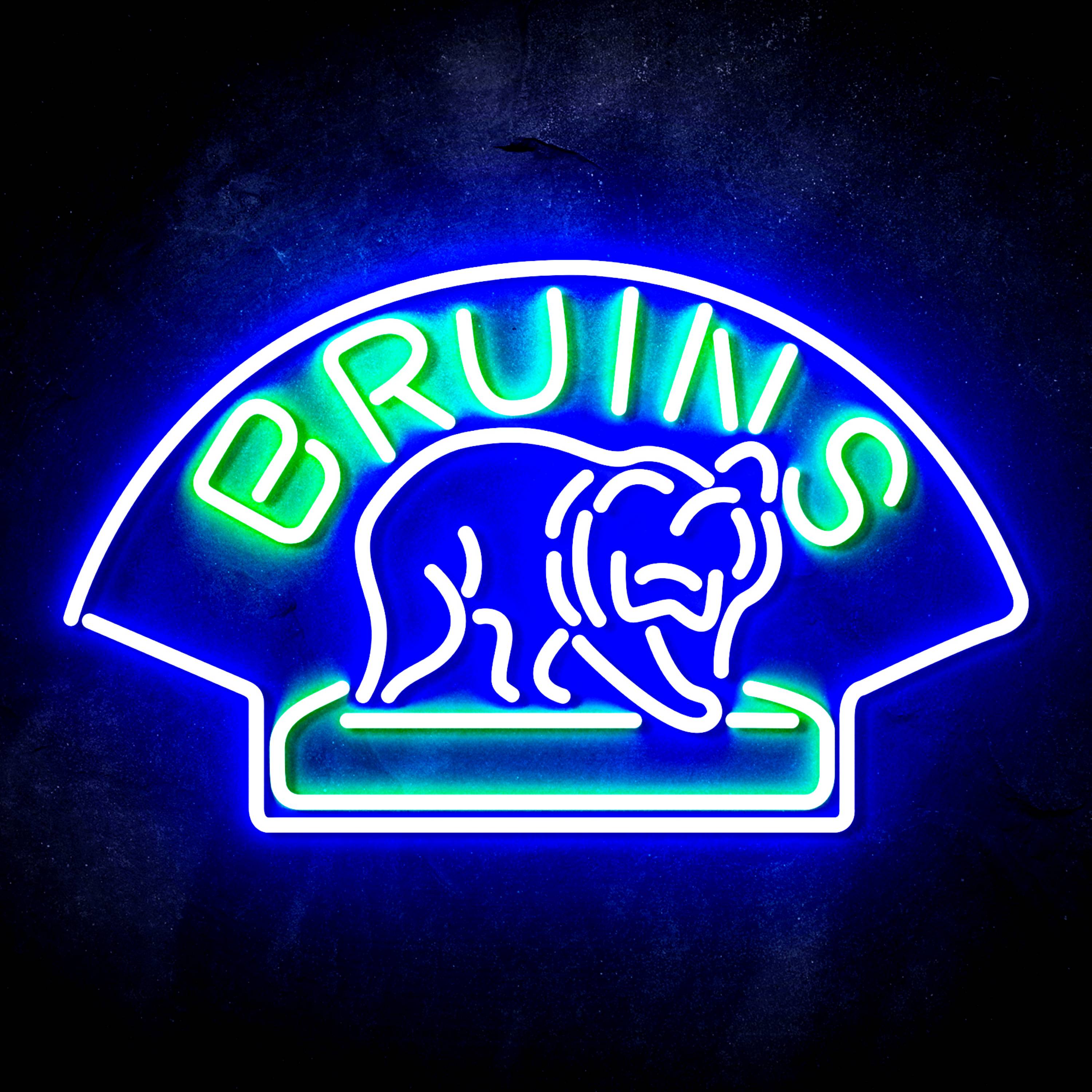 NHL Boston Bruins Flex Neon-like LED Sign