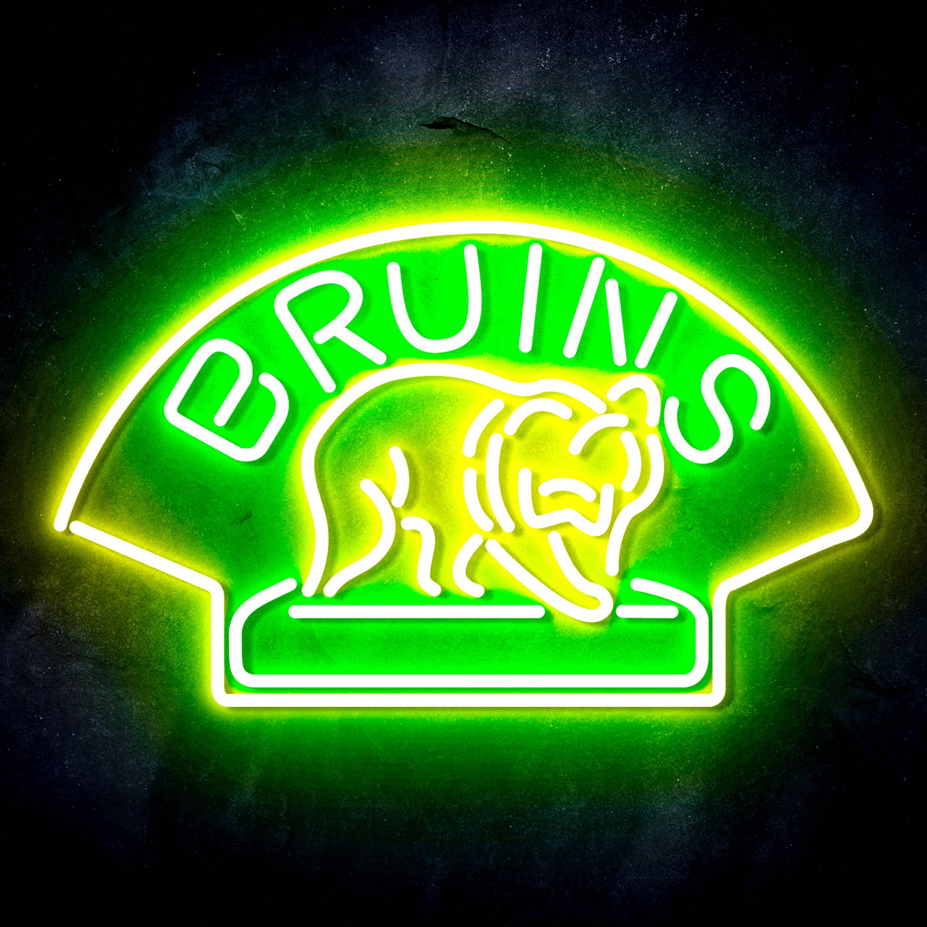 NHL Boston Bruins Flex Neon-like LED Sign