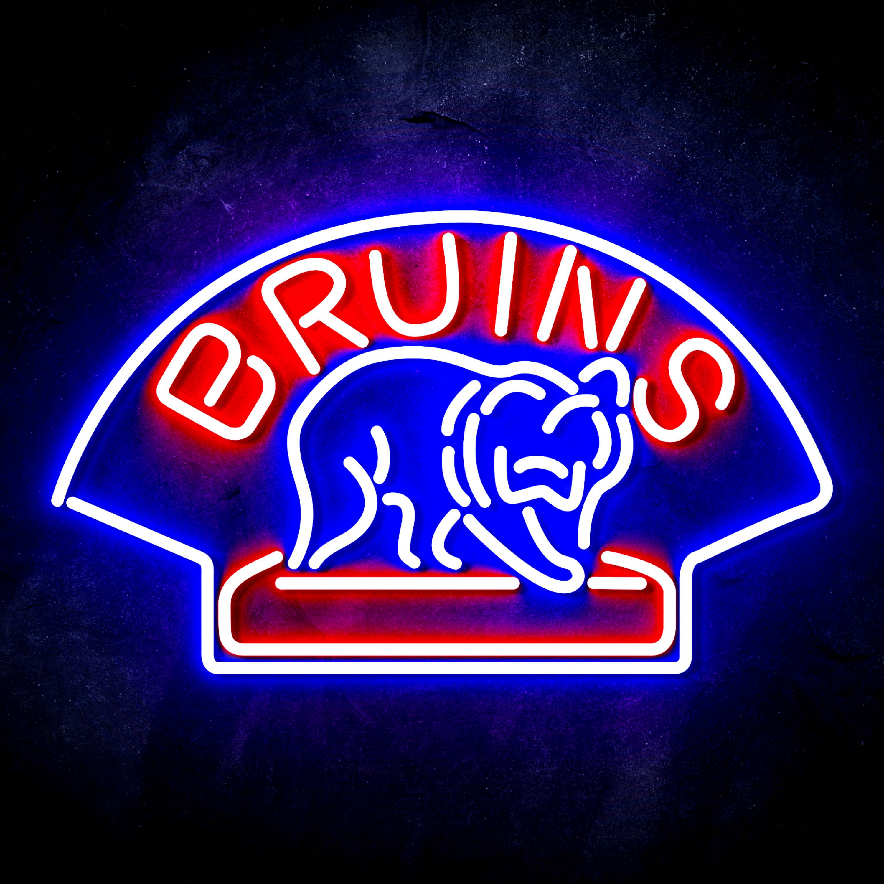 NHL Boston Bruins Flex Neon-like LED Sign