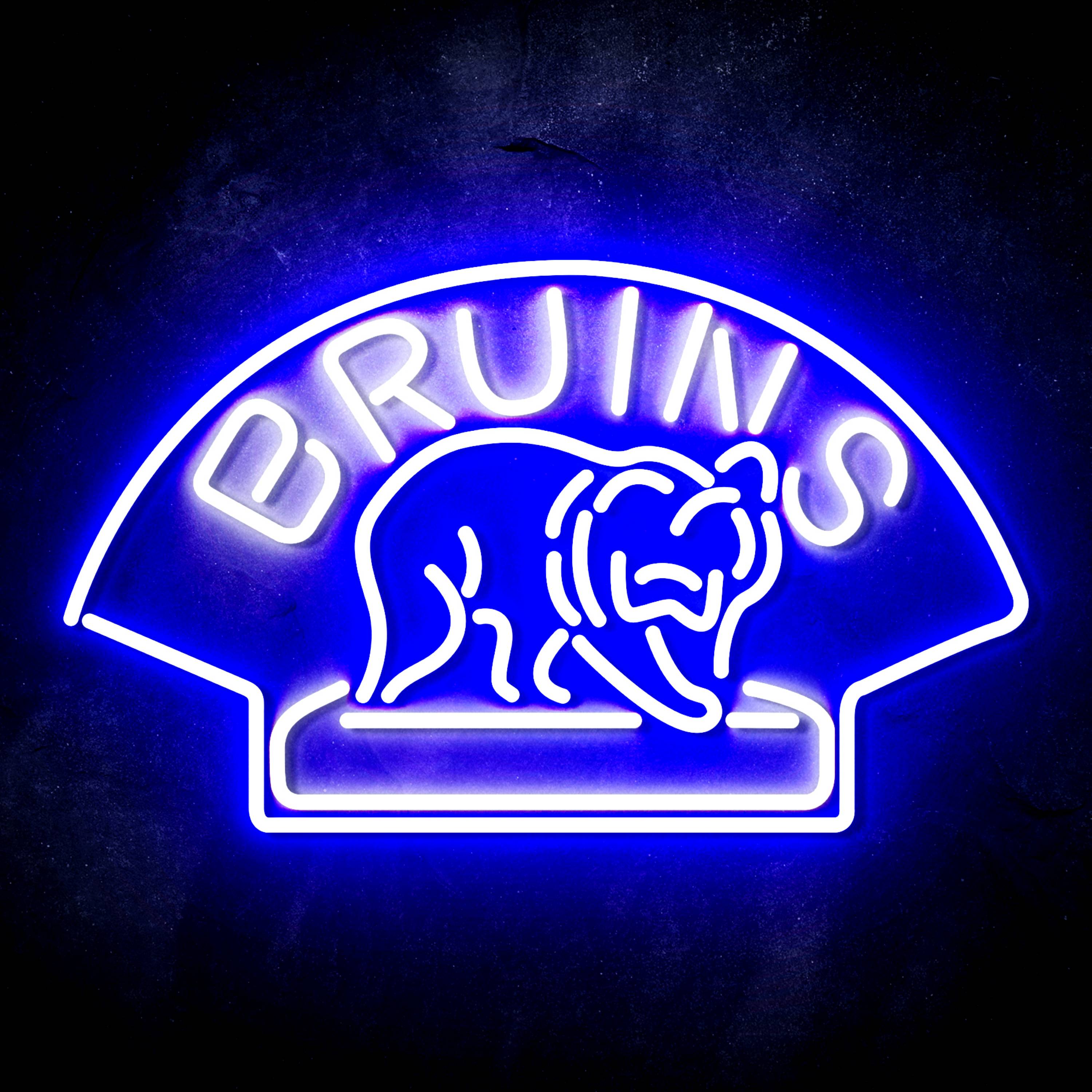 NHL Boston Bruins Flex Neon-like LED Sign