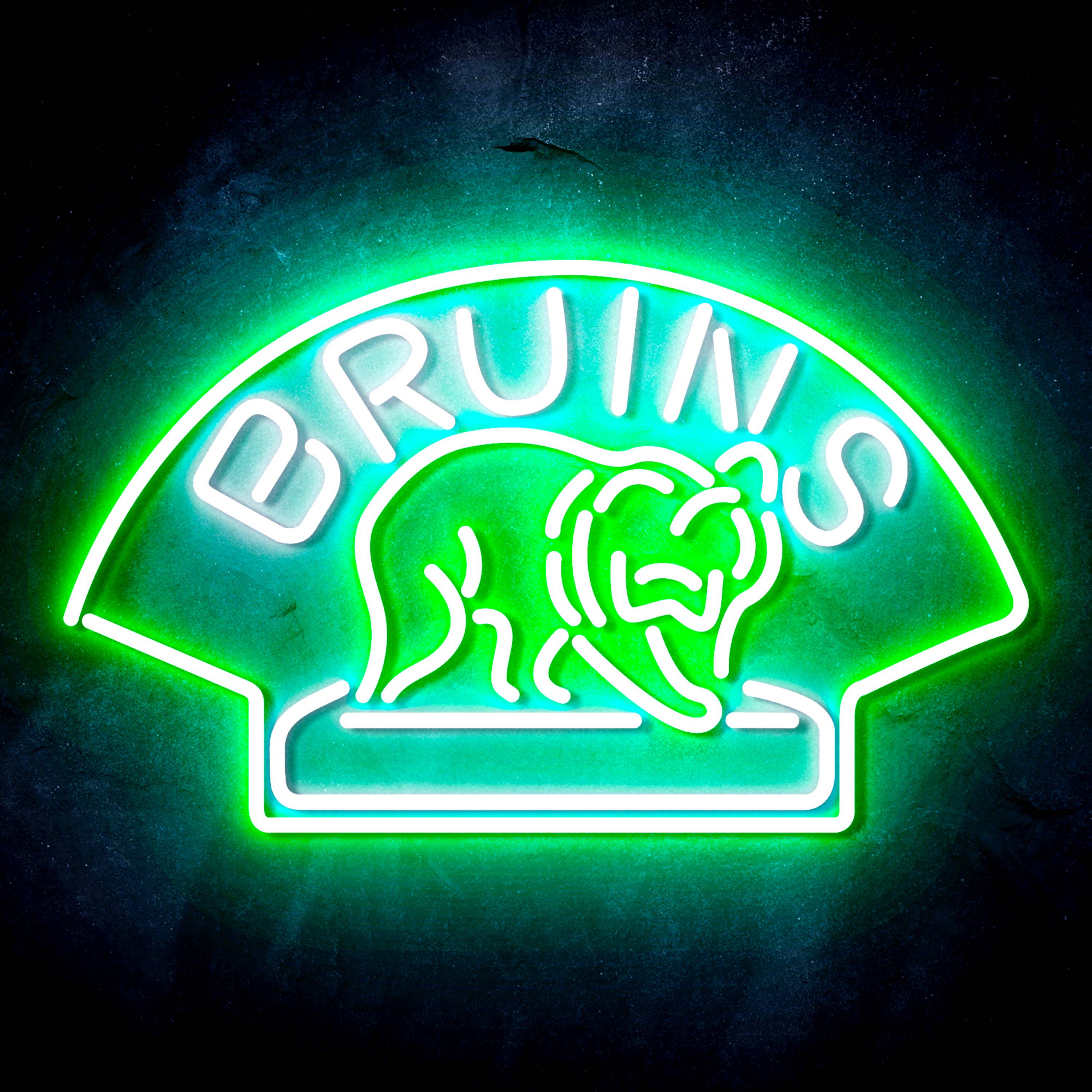 NHL Boston Bruins Flex Neon-like LED Sign