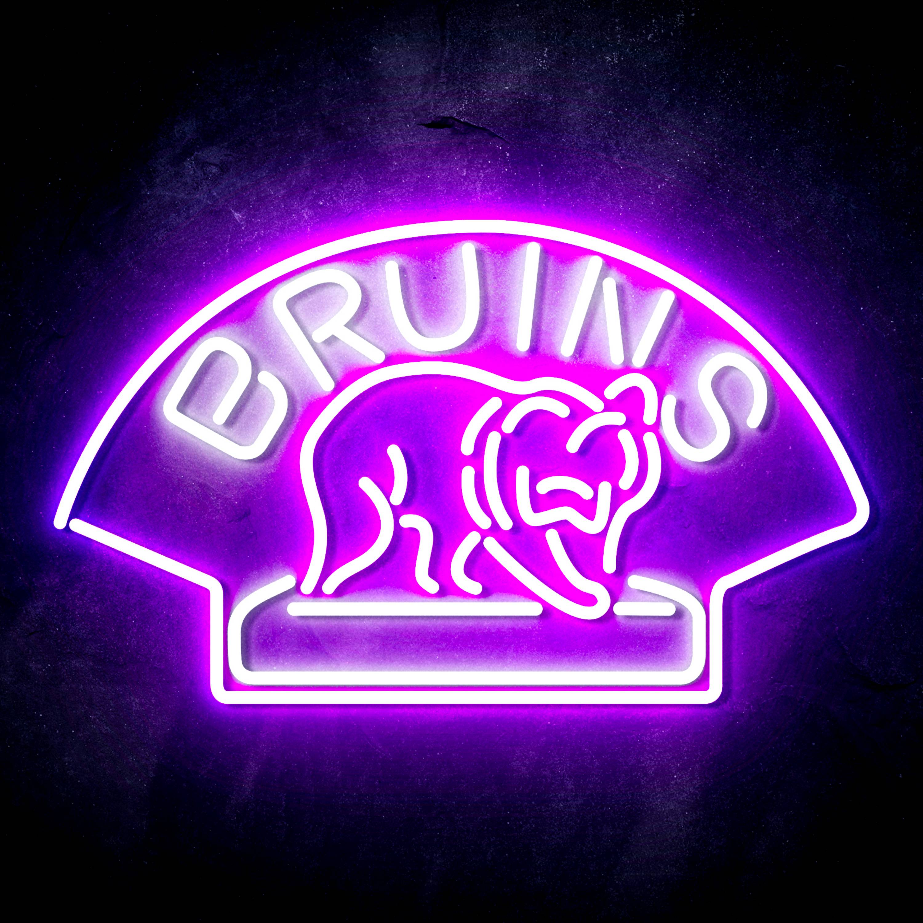 NHL Boston Bruins Flex Neon-like LED Sign