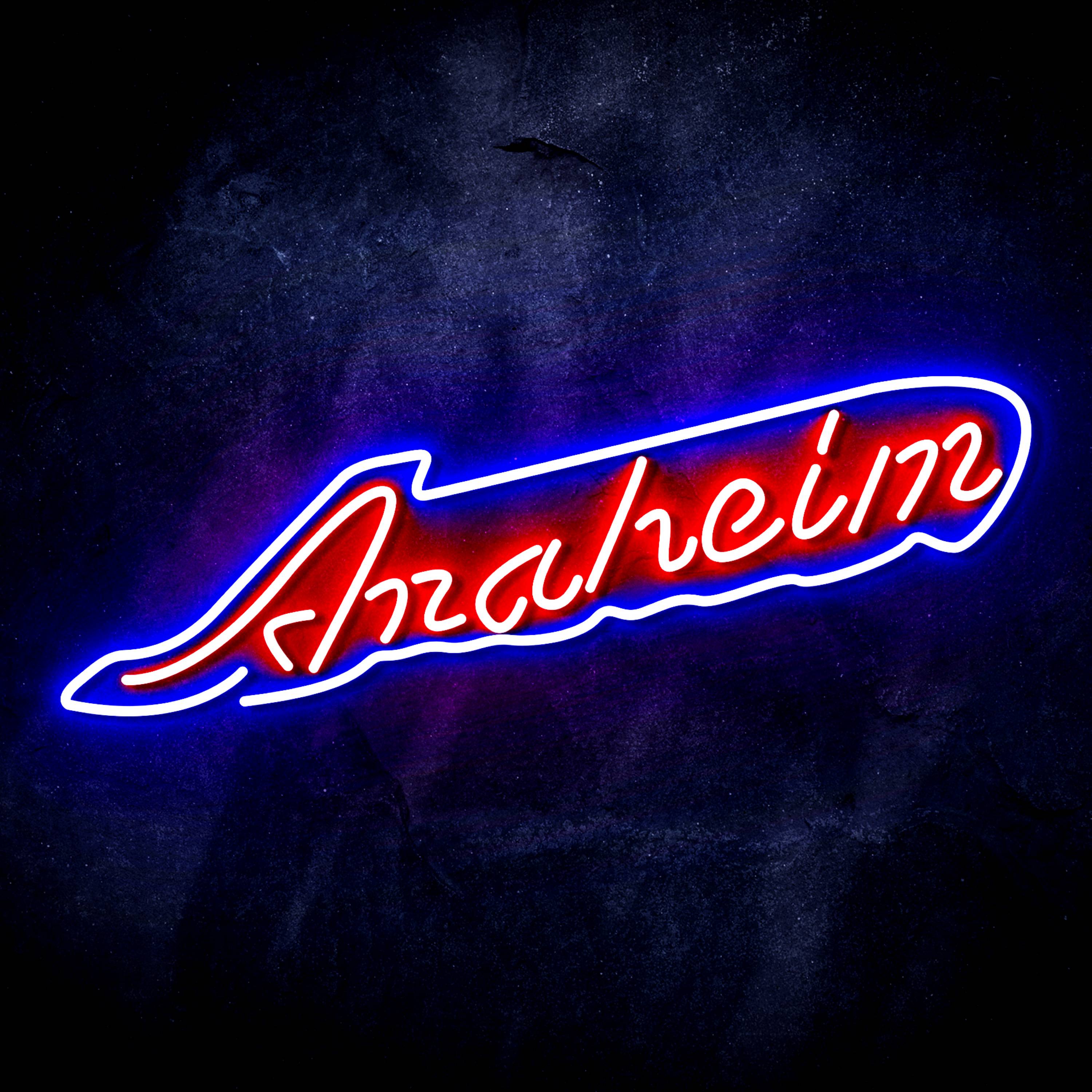 NHL Anaheim Ducks Flex Neon-like LED Sign