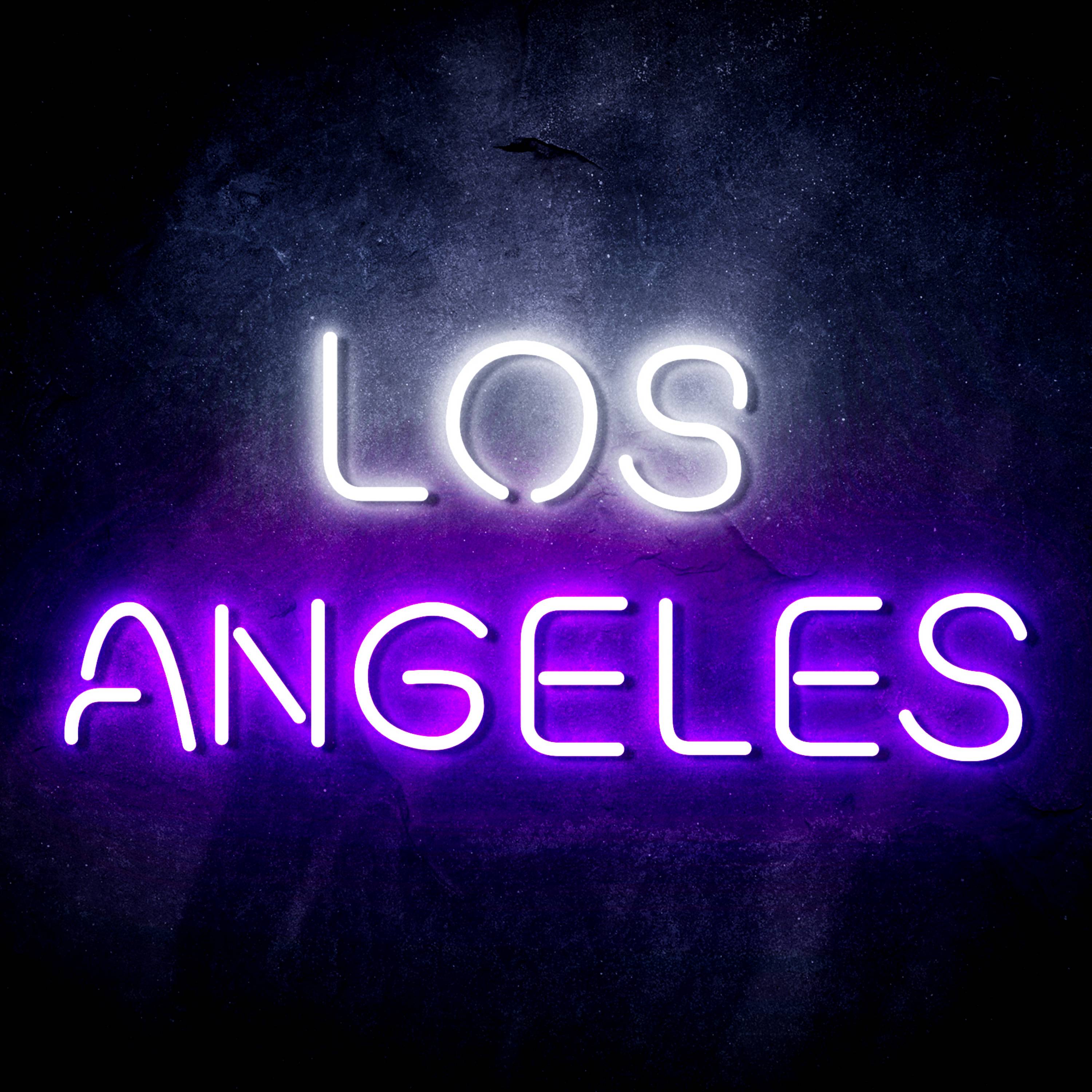 NHL Los Angeles Kings Flex Neon-like LED Sign