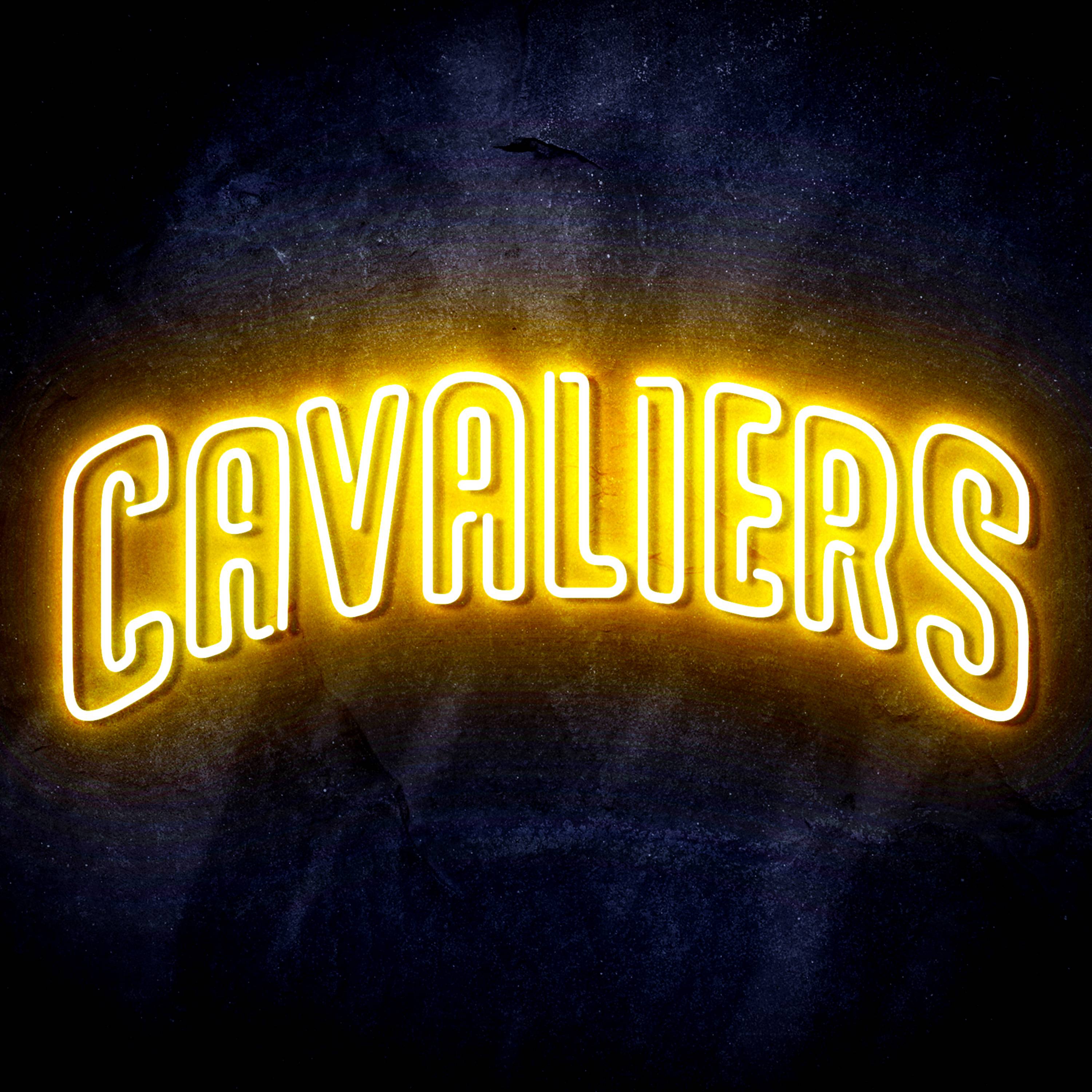 NBA Cleveland Cavaliers Flex Neon-like LED Sign