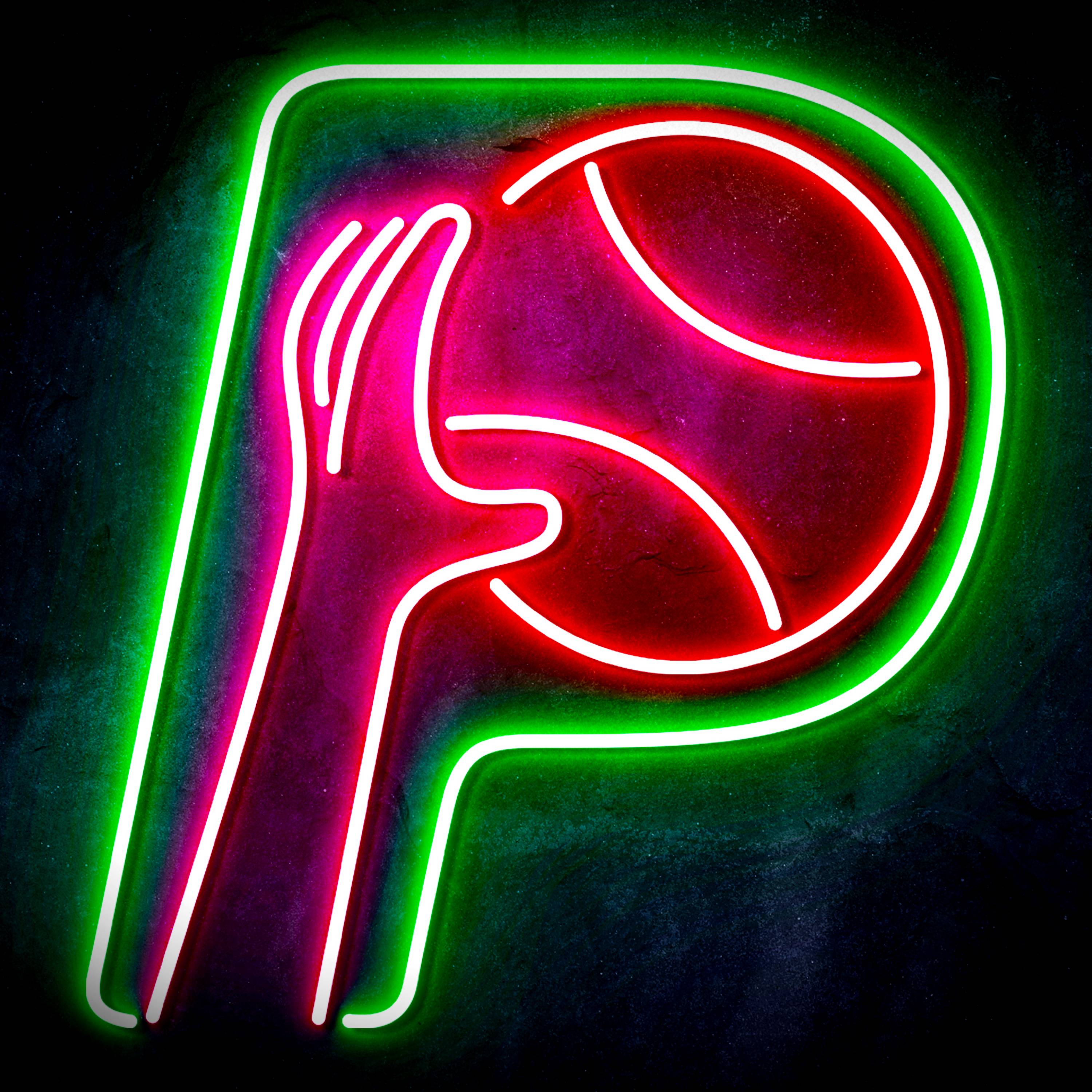 NBA Indiana Pacers Flex Neon-like LED Sign