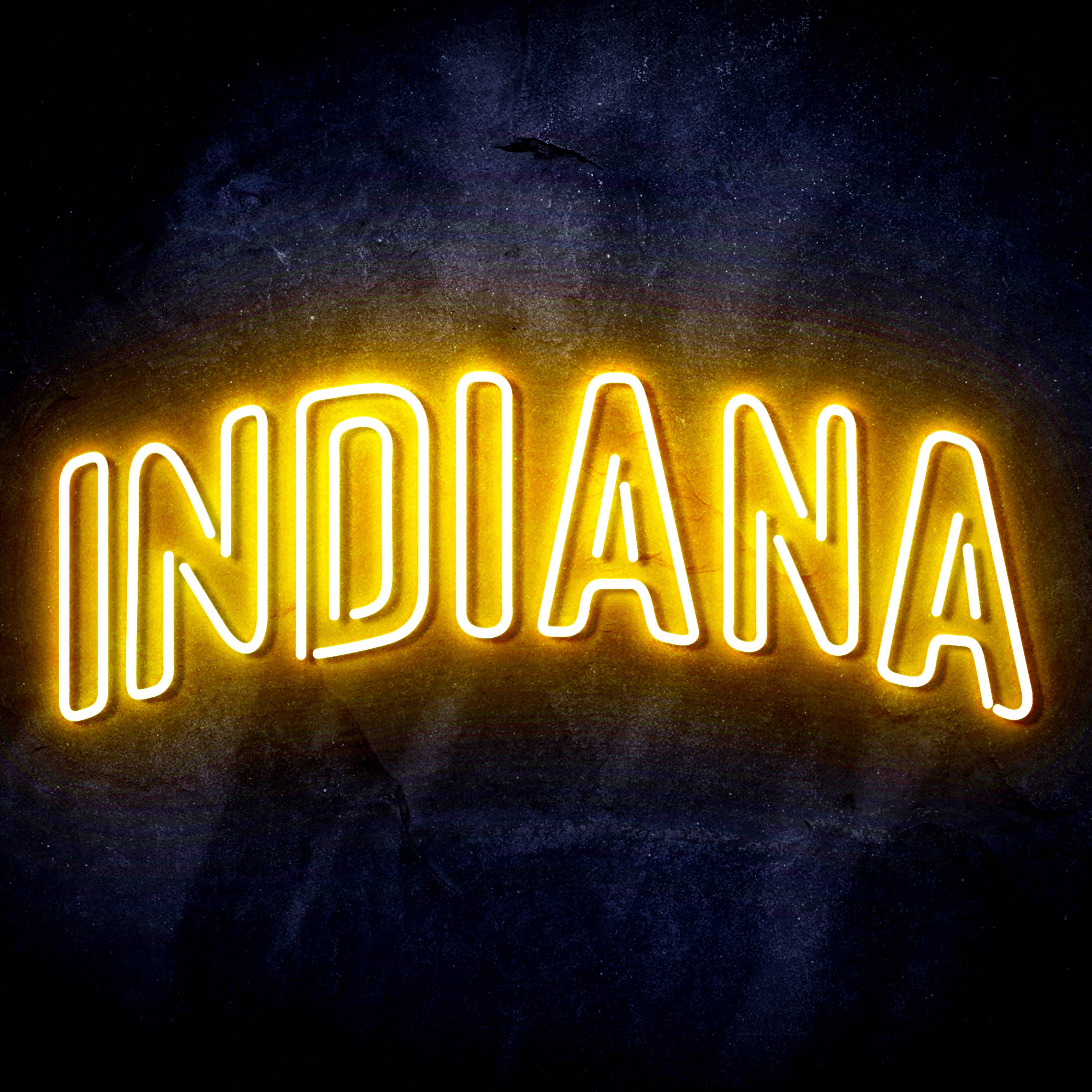 NBA Indiana Pacers Flex Neon-like LED Sign