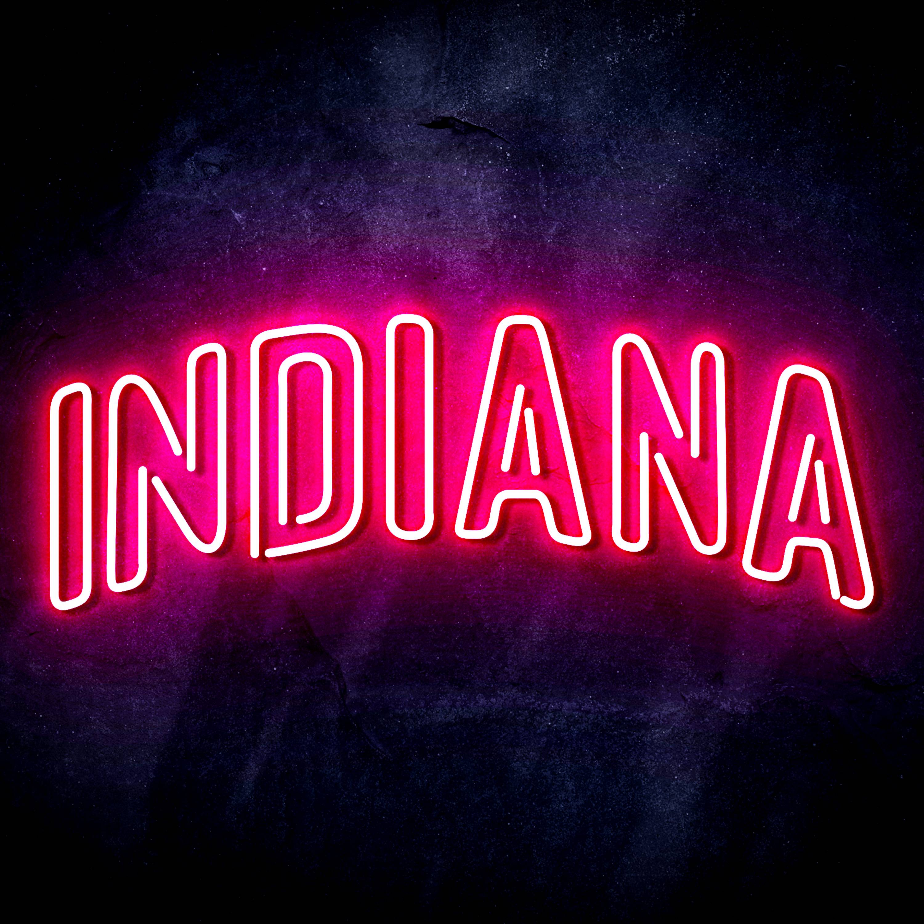 NBA Indiana Pacers Flex Neon-like LED Sign