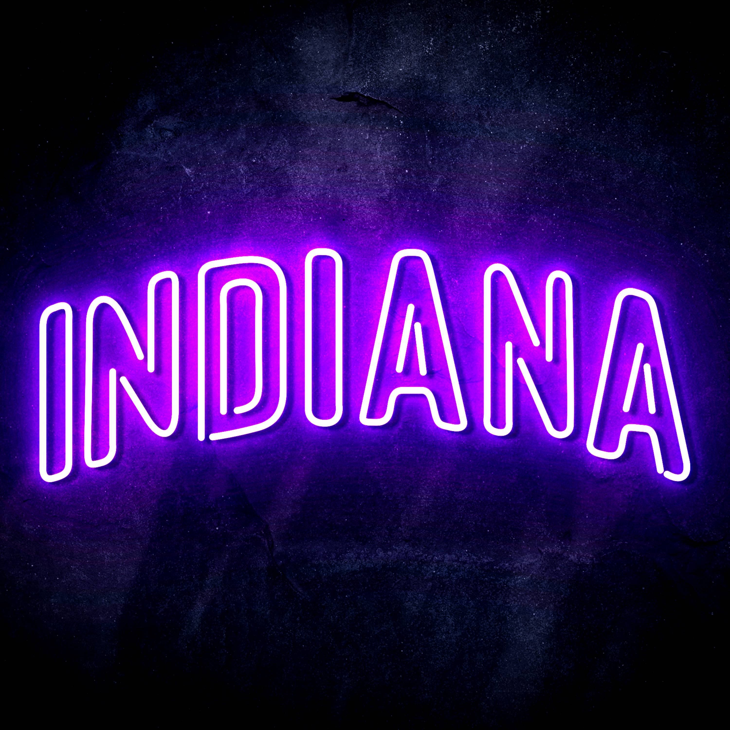 NBA Indiana Pacers Flex Neon-like LED Sign