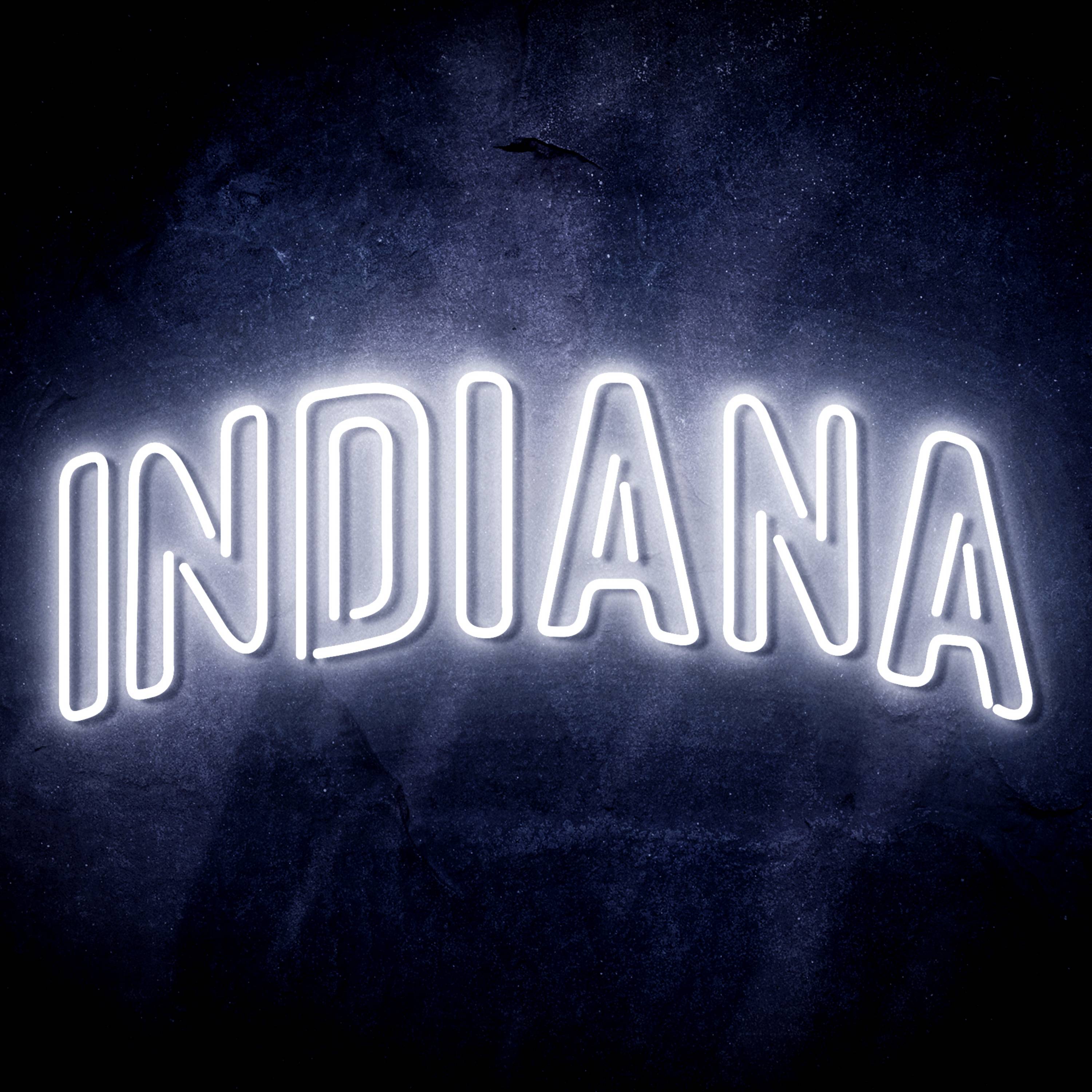 NBA Indiana Pacers Flex Neon-like LED Sign