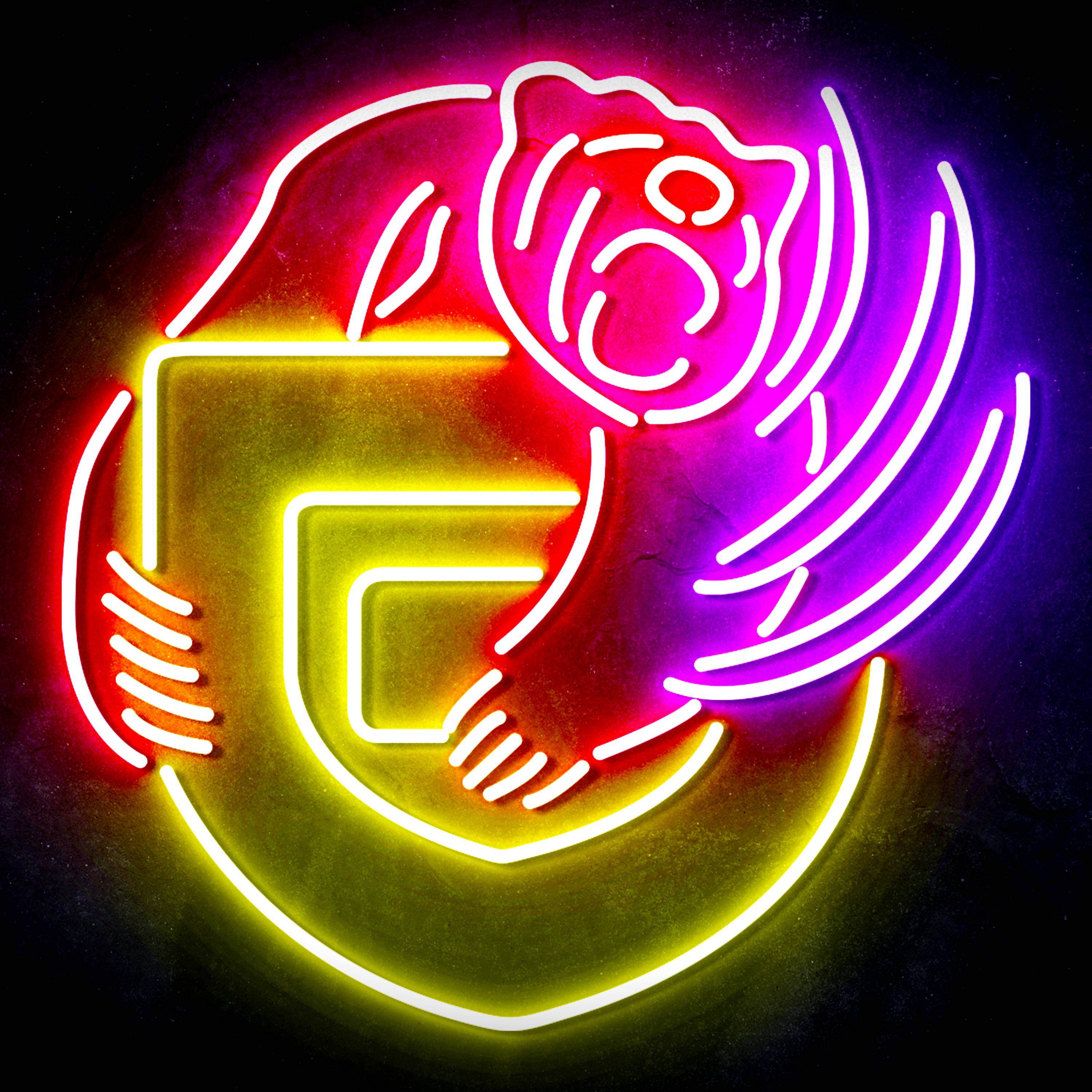 NBA Memphis Grizzlies Flex Neon-like LED Sign