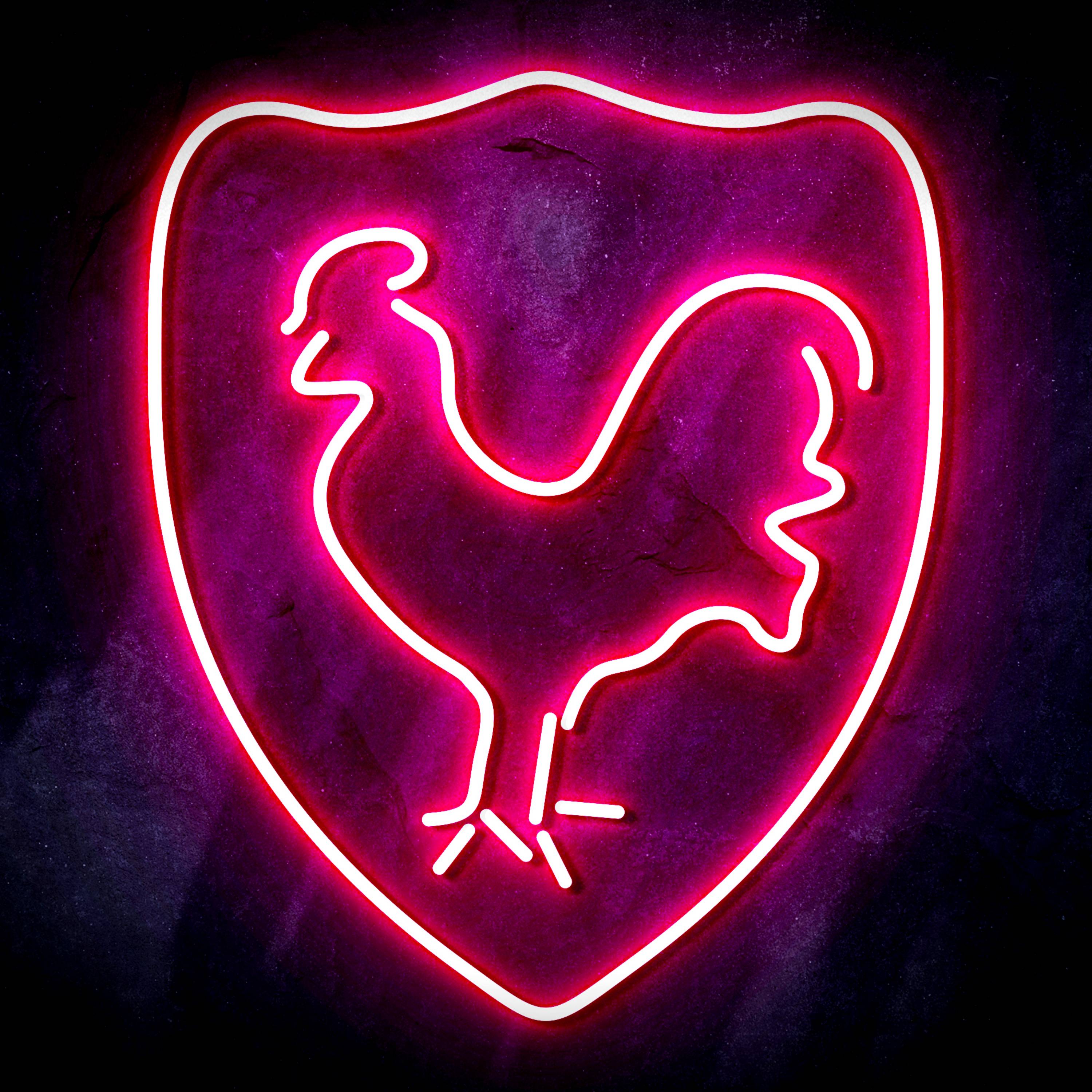 Tettenham Hotspur Football Club Flex Neon-like LED Sign