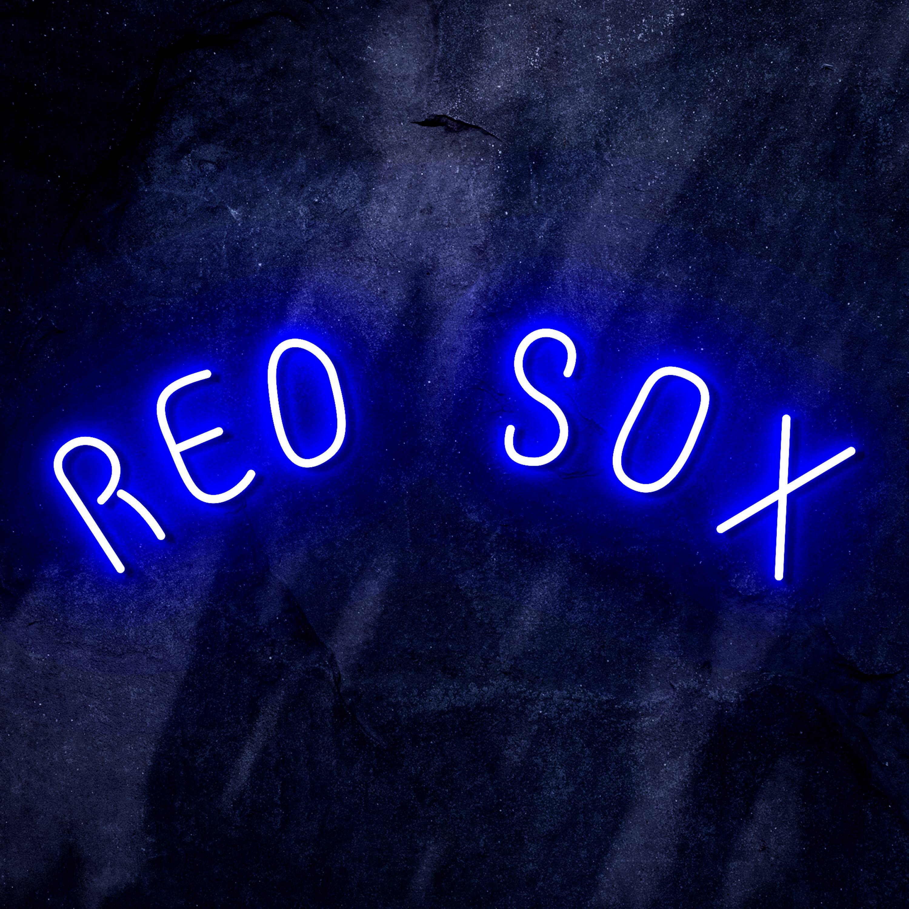 MLB Boston Red Sox Flex Neon-like LED Sign