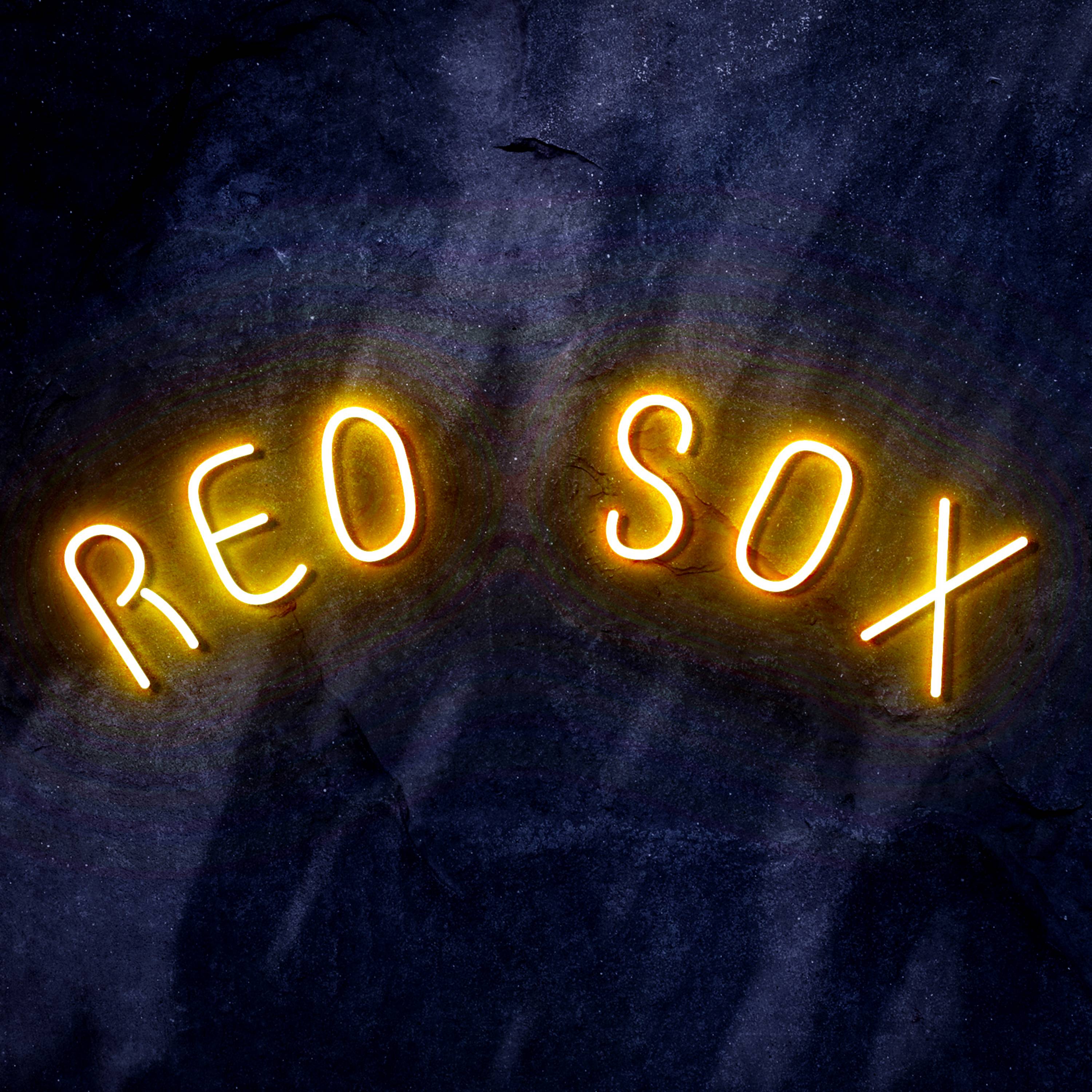 MLB Boston Red Sox Flex Neon-like LED Sign