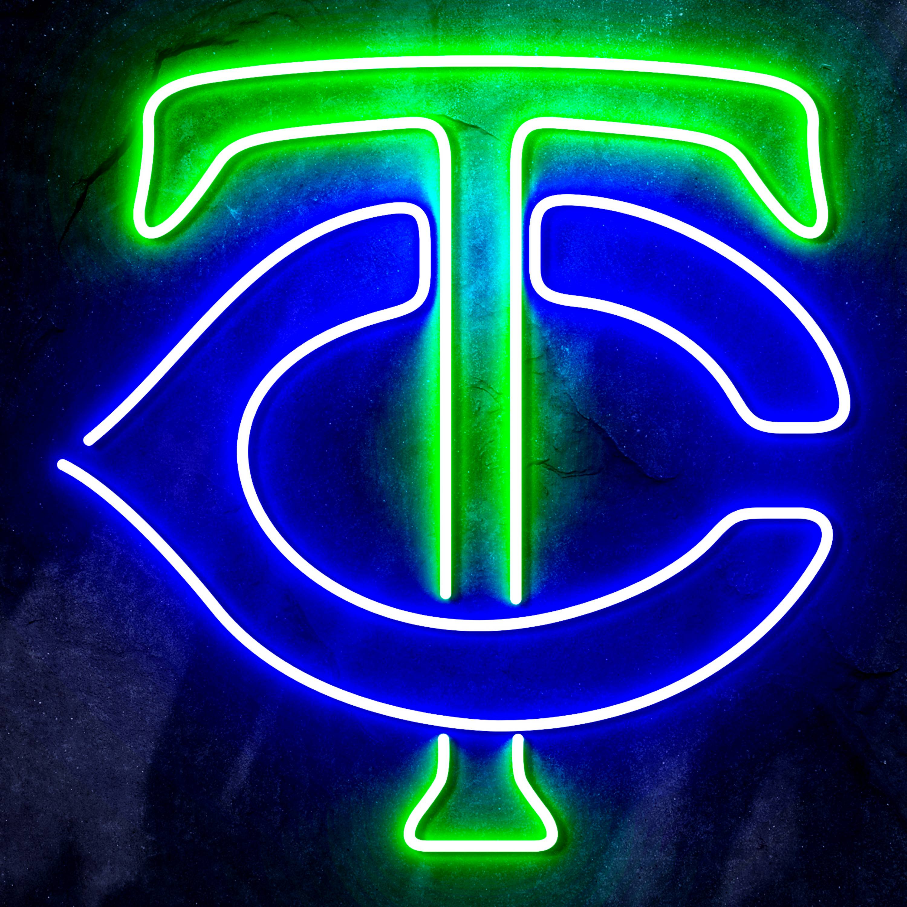 MLB Minnesota Twins Flex Neon-like LED Sign