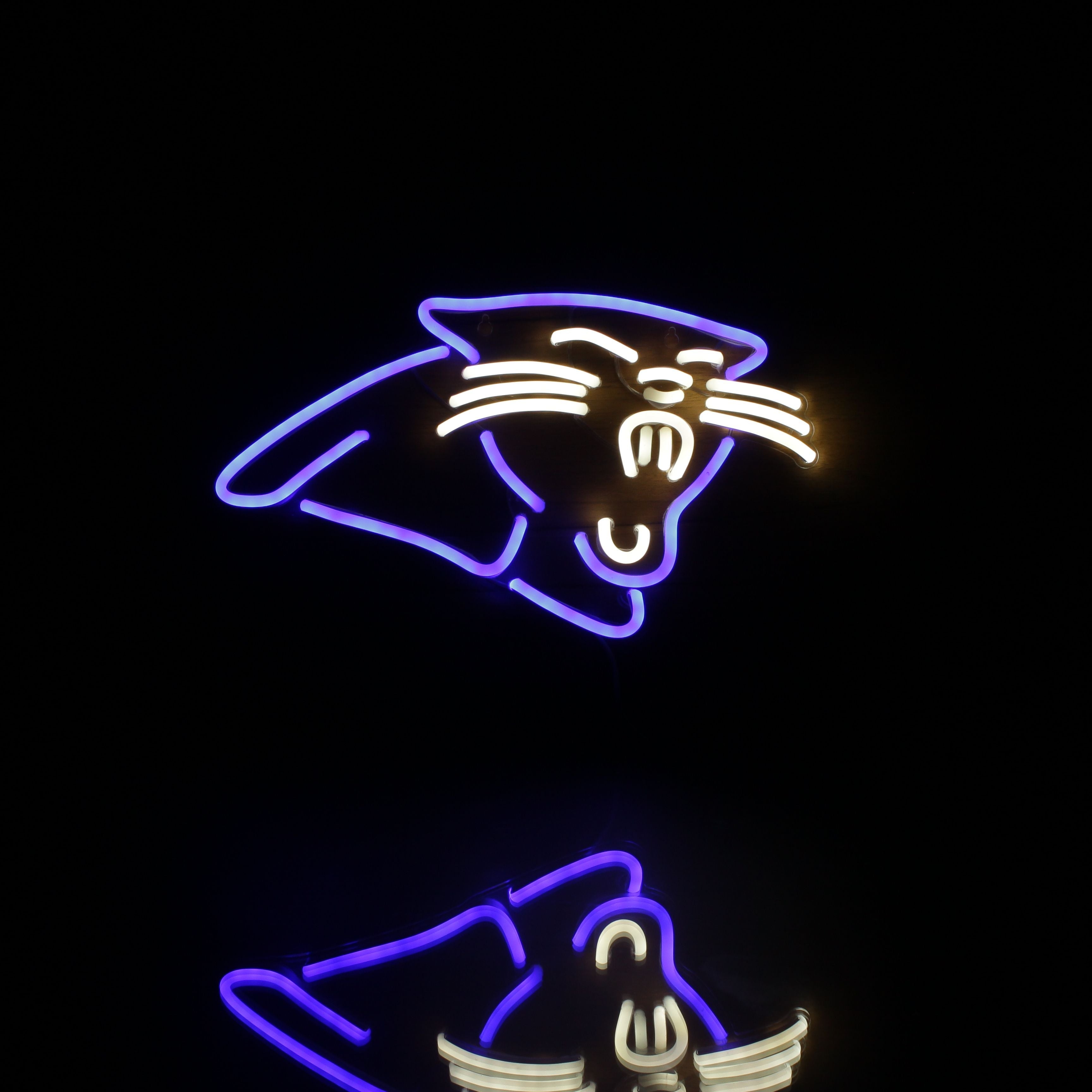 Carolina Panthers Neon-Like Flex LED Sign Dual Color - ProLedSign