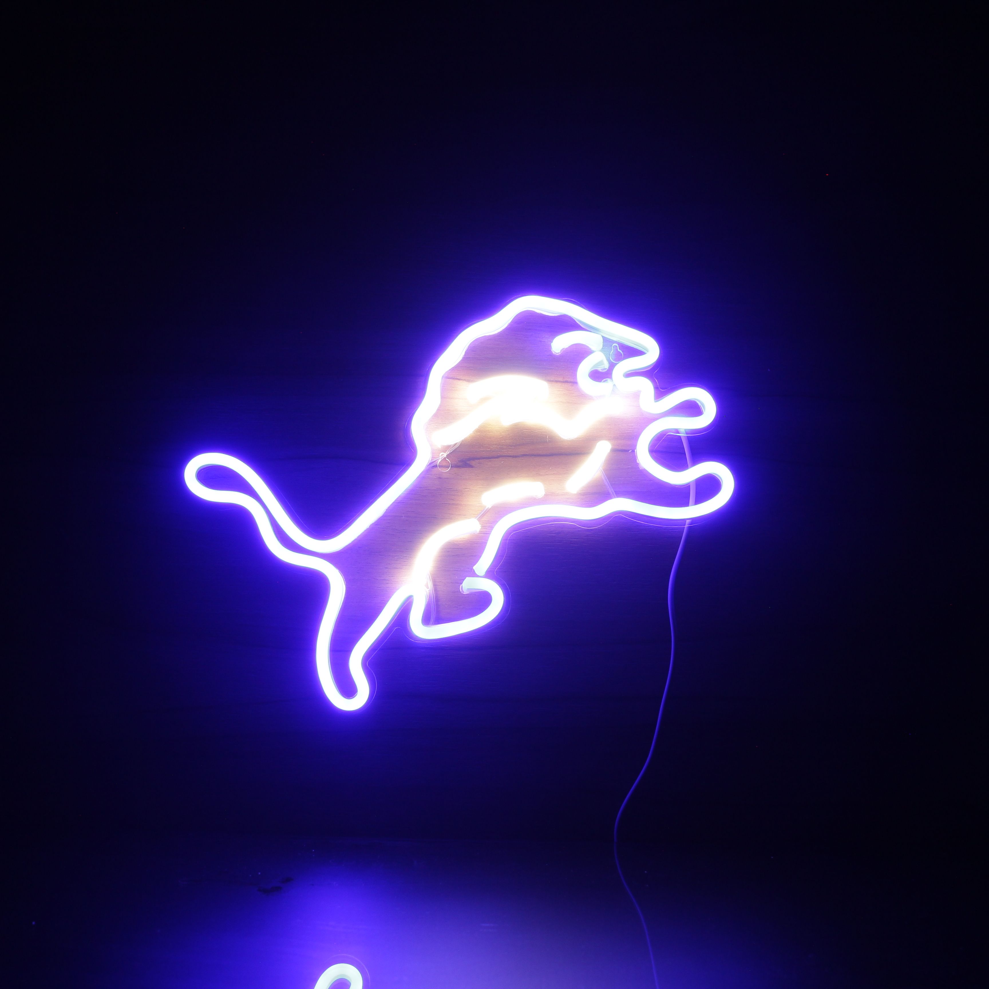 Detroit Lions Neon-Like Flex LED Light Sign Dual Color - ProLedSign