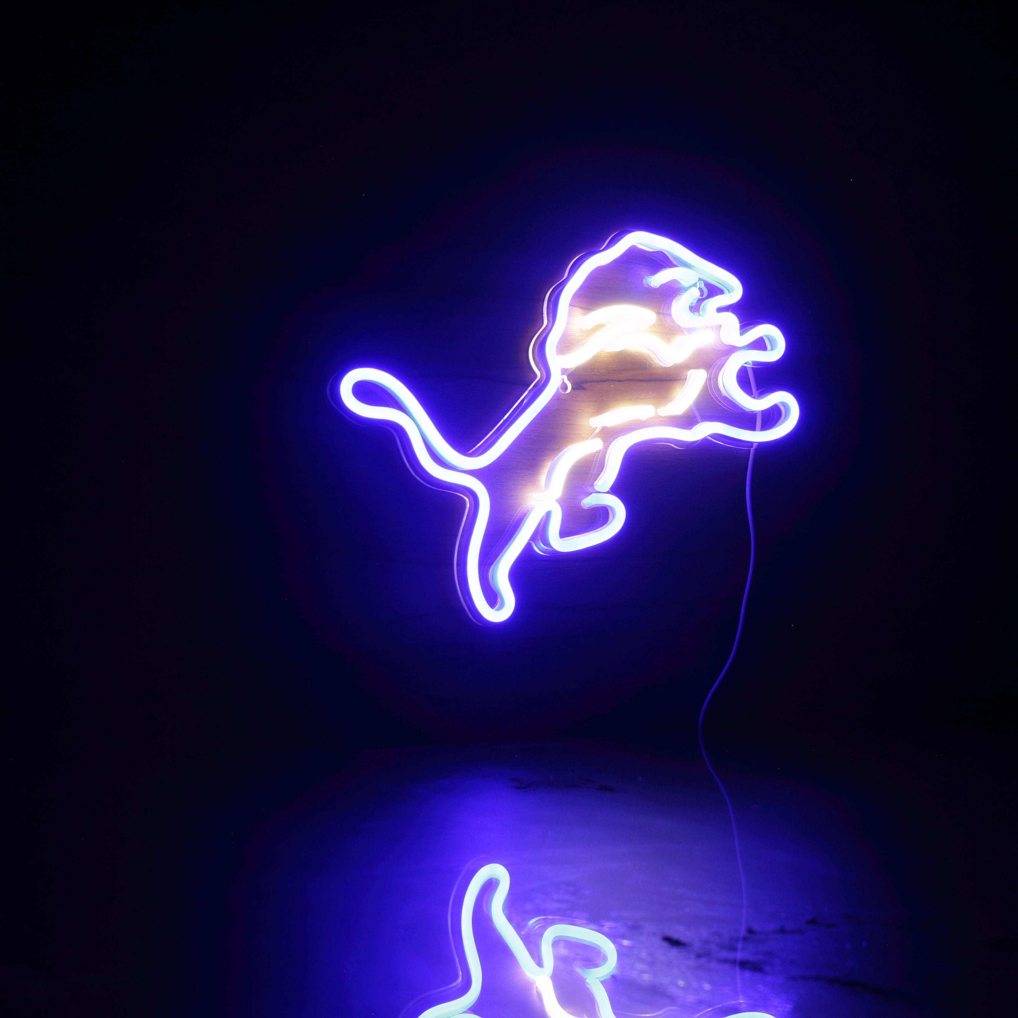 Detroit Lions Neon-Like Flex LED Light Sign Dual Color - ProLedSign