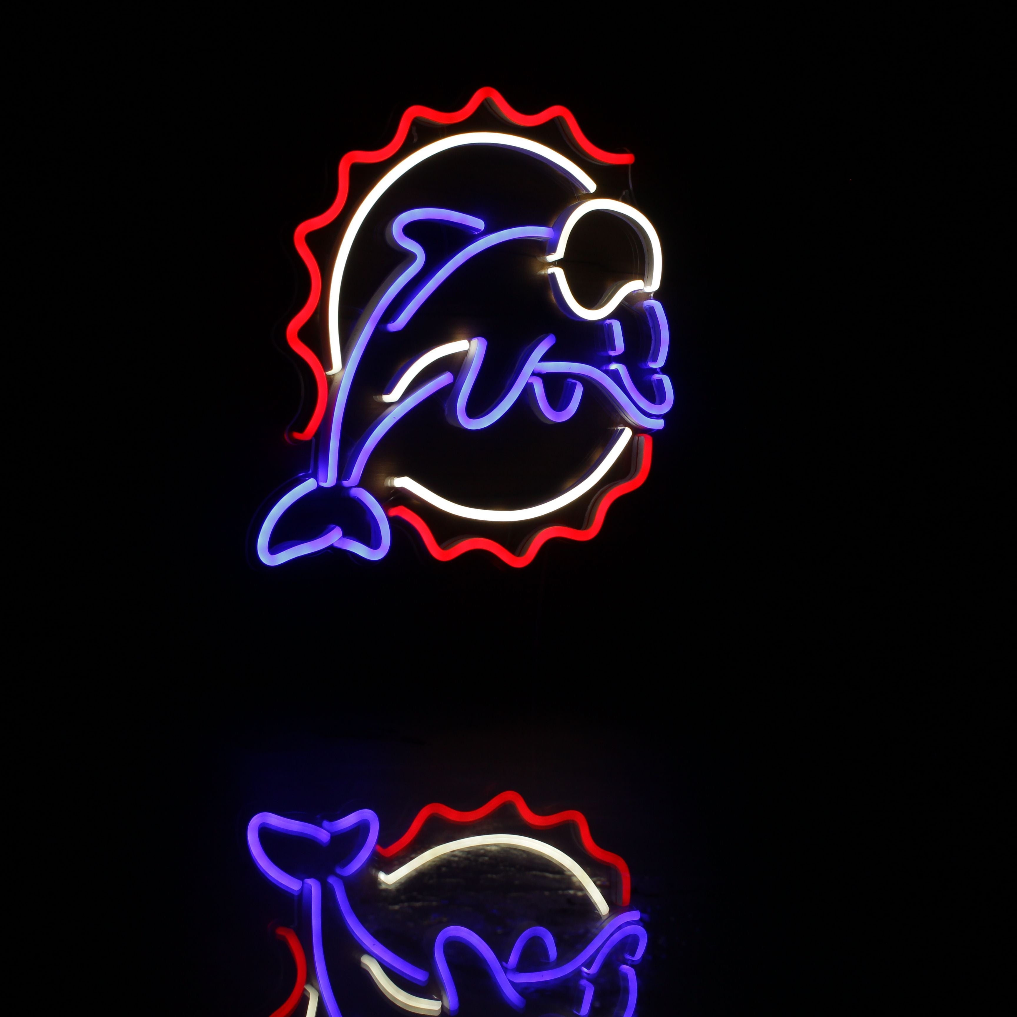 Miami Dolphins Neon-Like Flex LED Sign Multi Color - ProLedSign