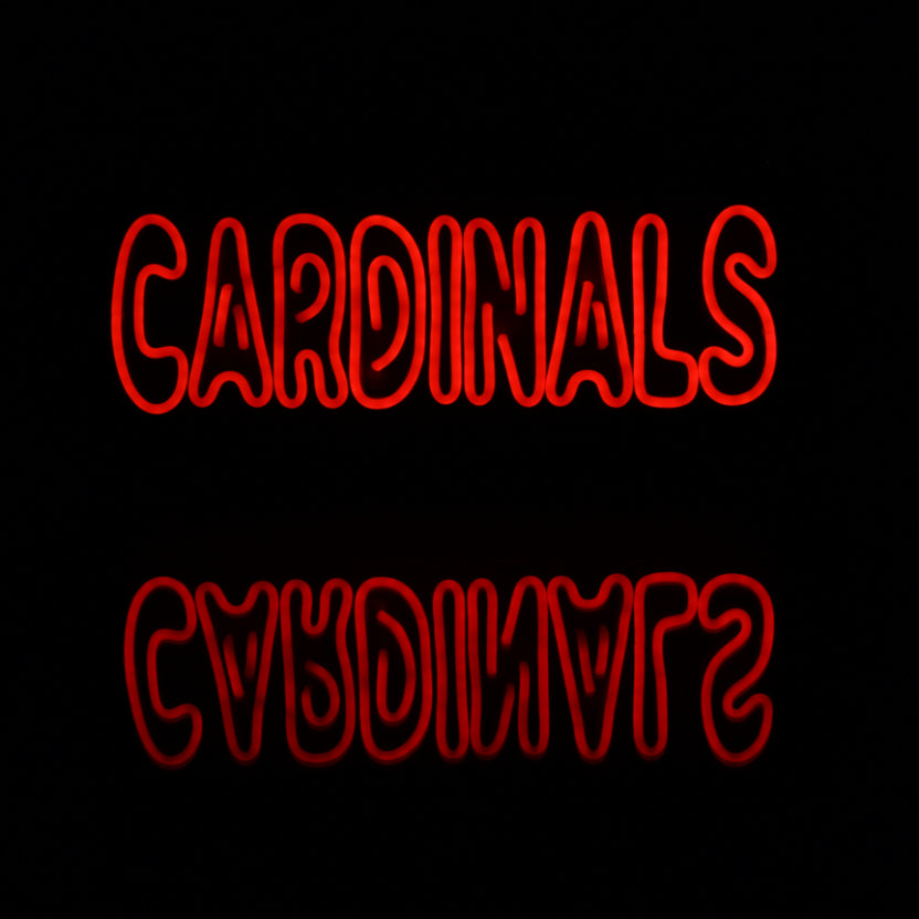 NFL Arizona Cardinals Handmade Neon Flex LED Light Sign - ProLedSign