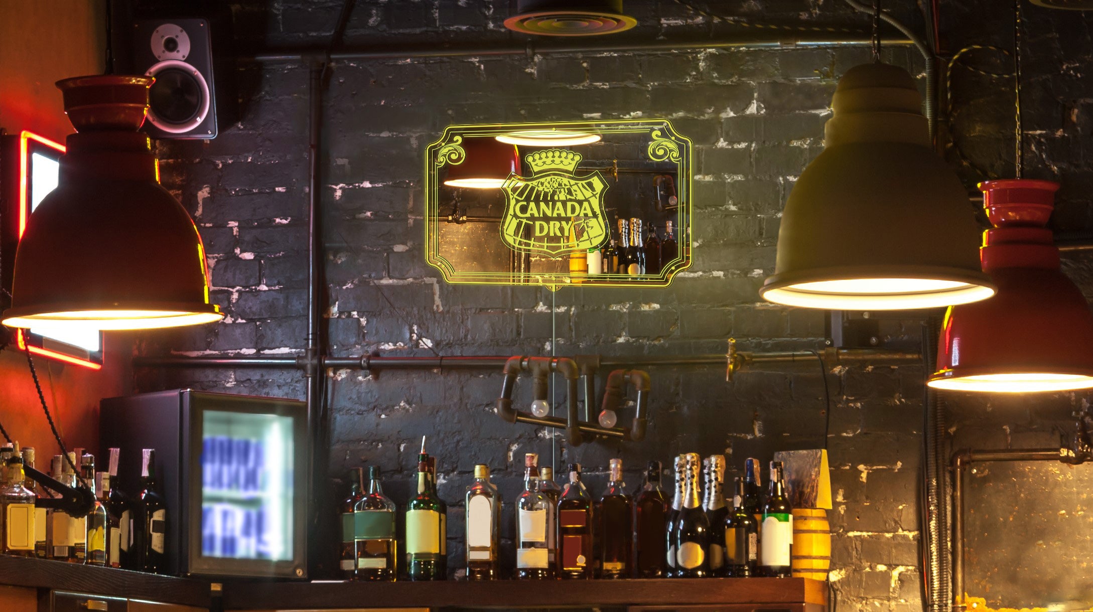 Canada Dry RGB LED Neon Sign with Elegant Mirror Backing