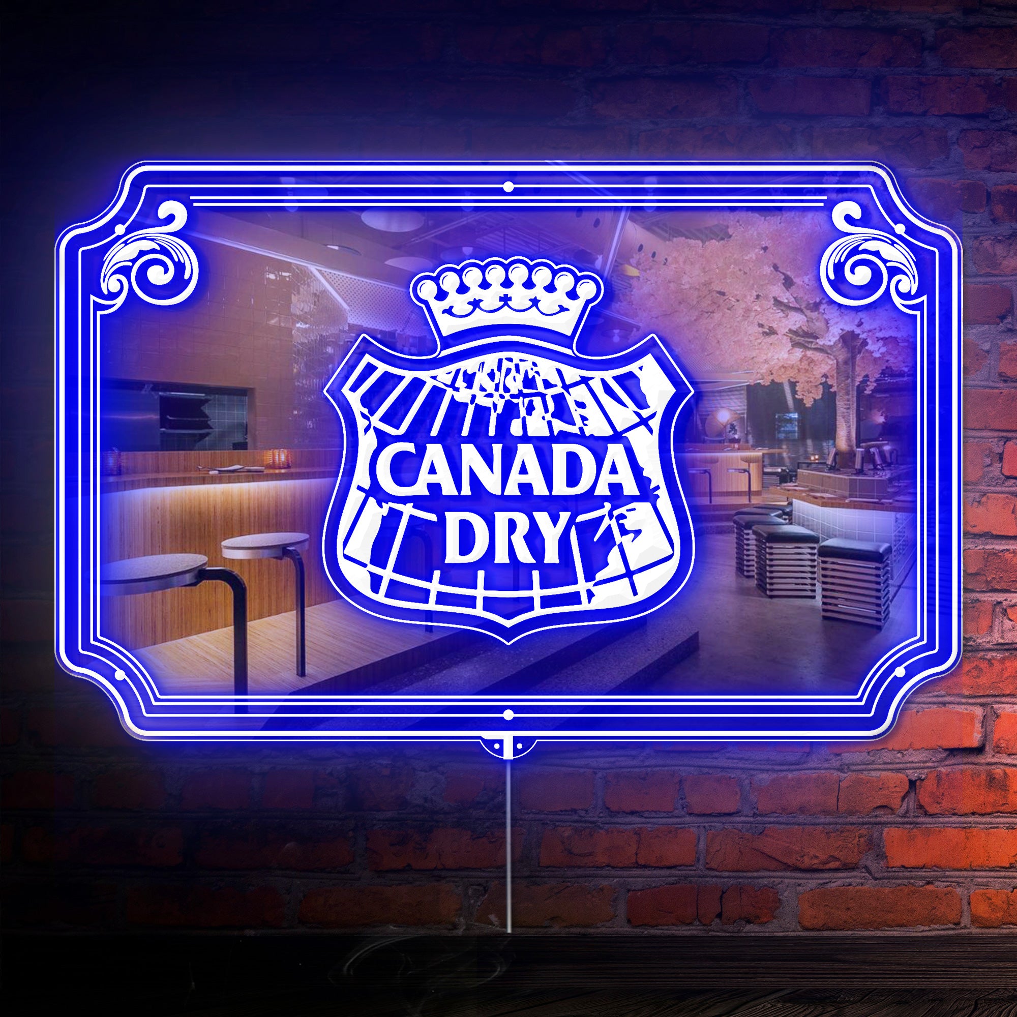 Canada Dry RGB LED Neon Sign with Elegant Mirror Backing