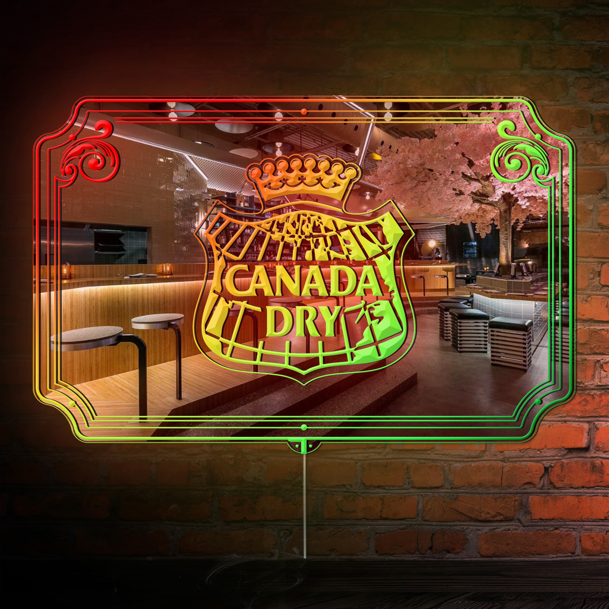 Canada Dry RGB LED Neon Sign with Elegant Mirror Backing