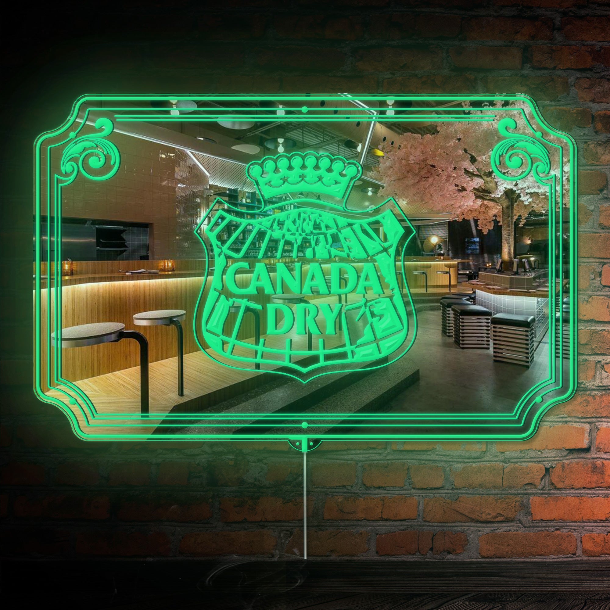 Canada Dry RGB LED Neon Sign with Elegant Mirror Backing