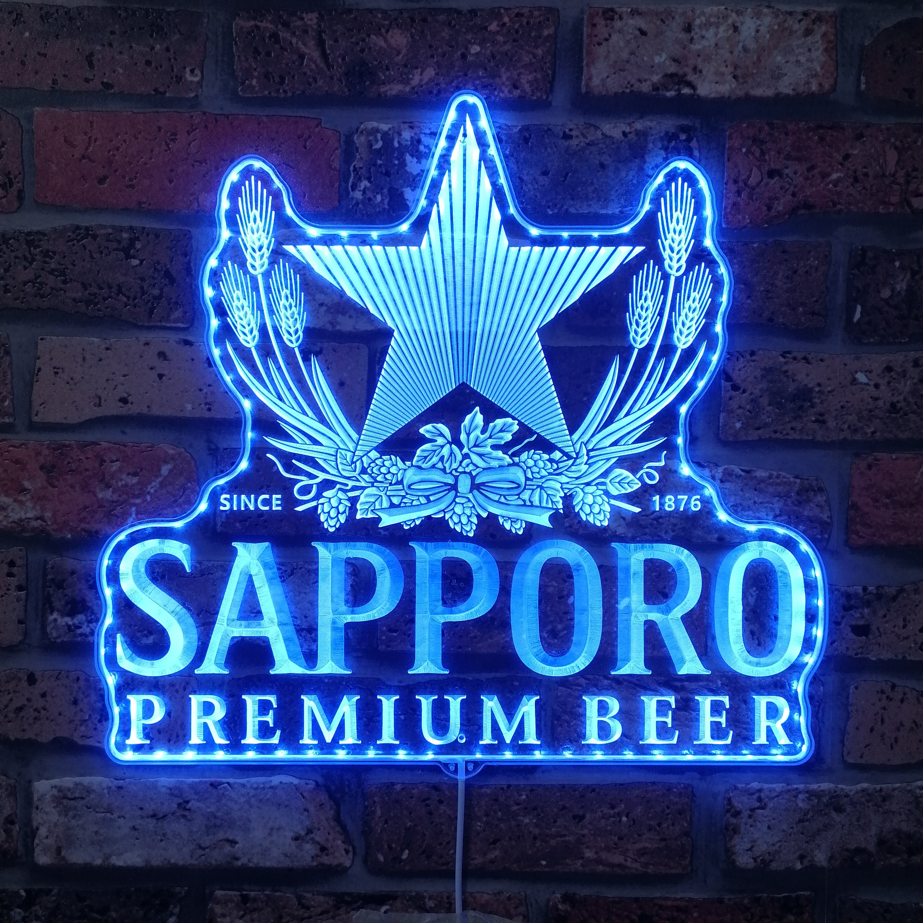 Sapporo Dynamic RGB Edge Lit LED Sign