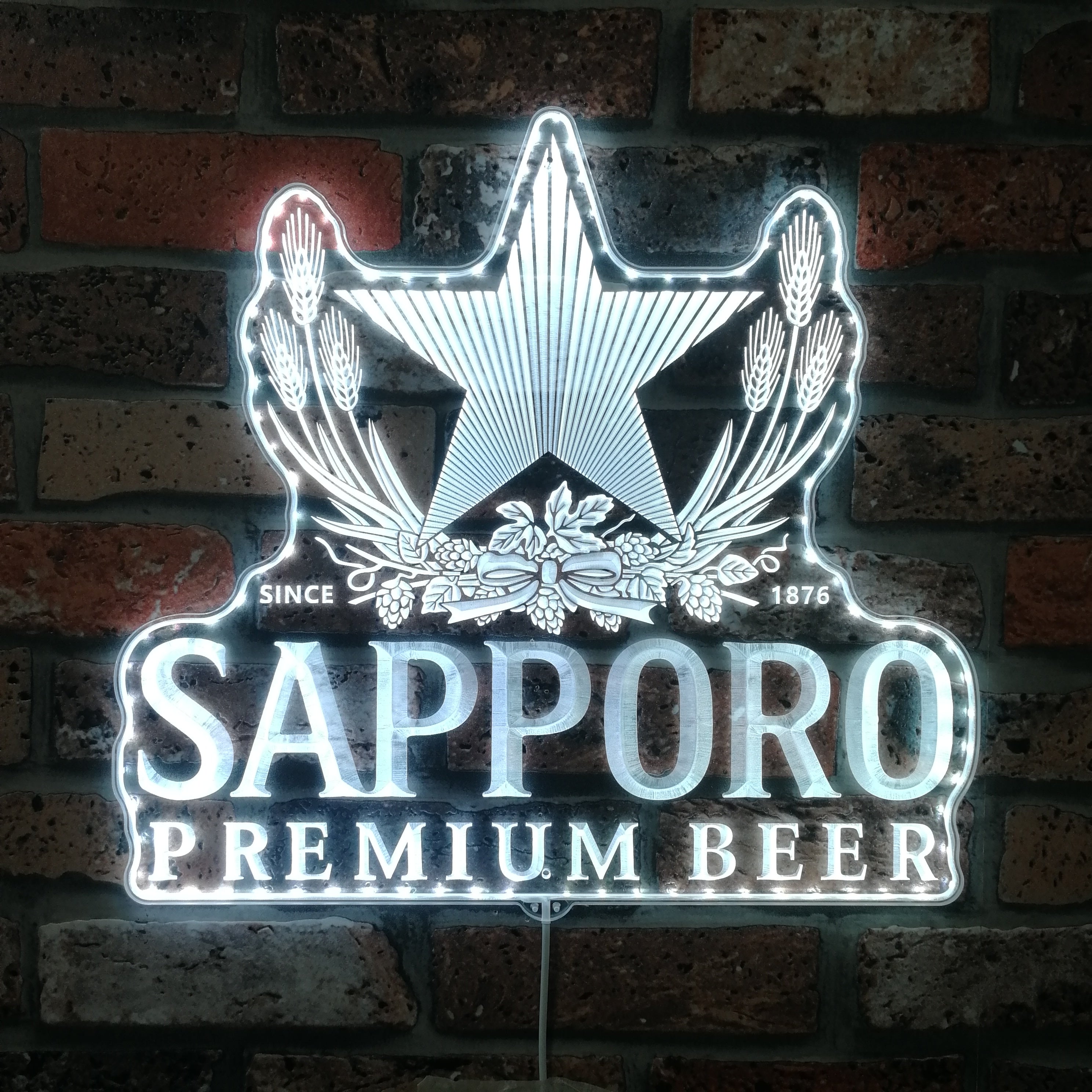 Sapporo Dynamic RGB Edge Lit LED Sign