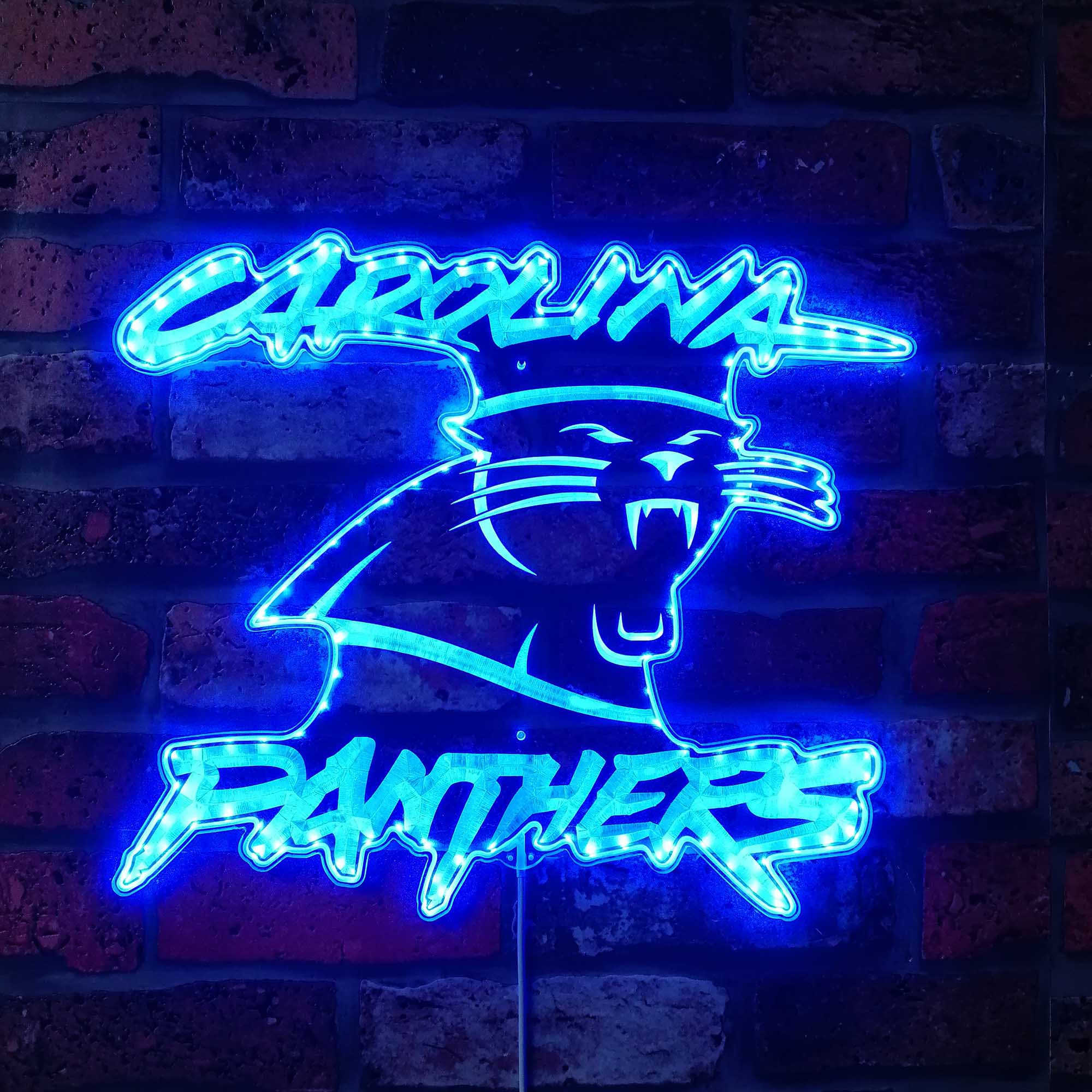 Carolina Panthers Dynamic RGB Light Neon Led Light Sign