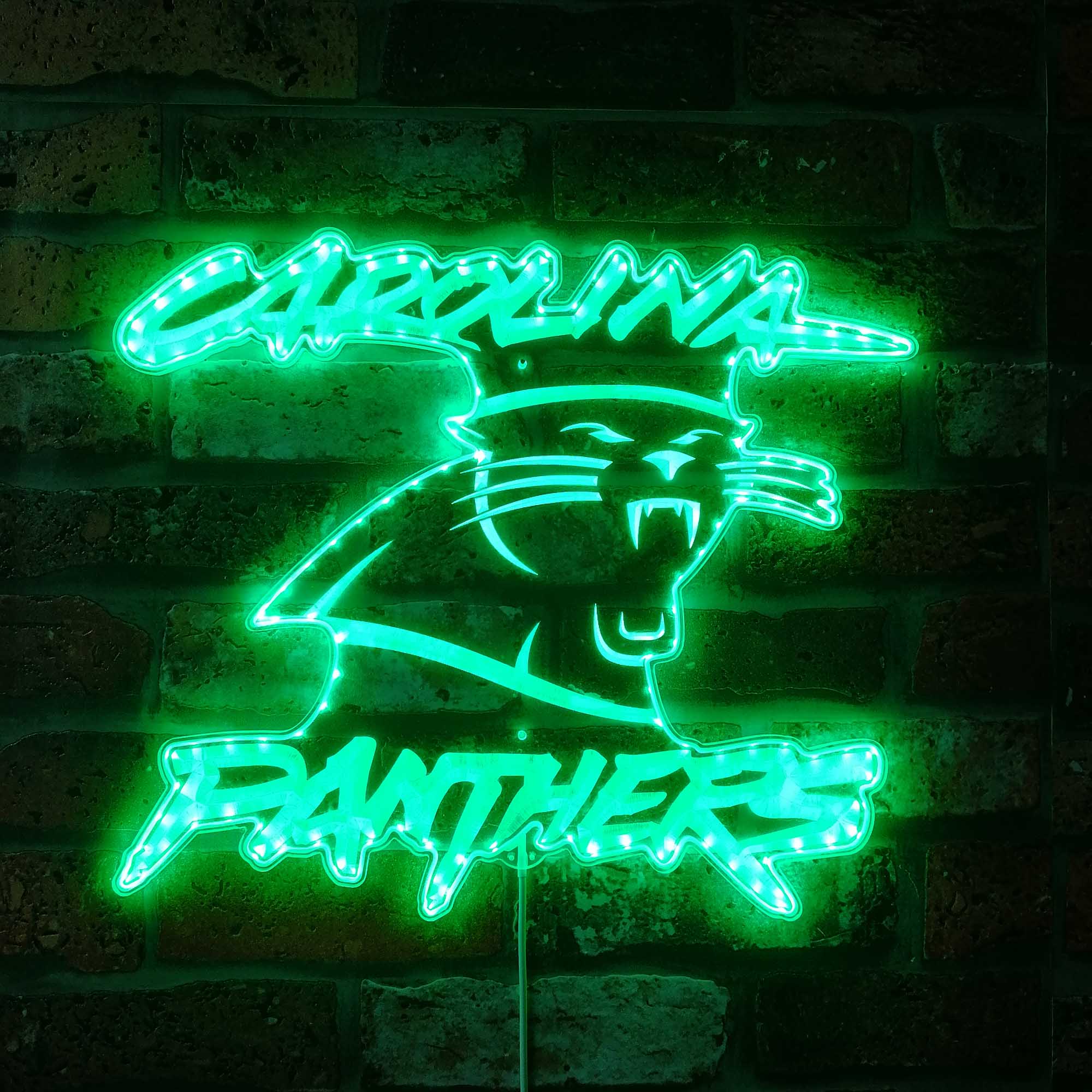 Carolina Panthers Dynamic RGB Light Neon Led Light Sign