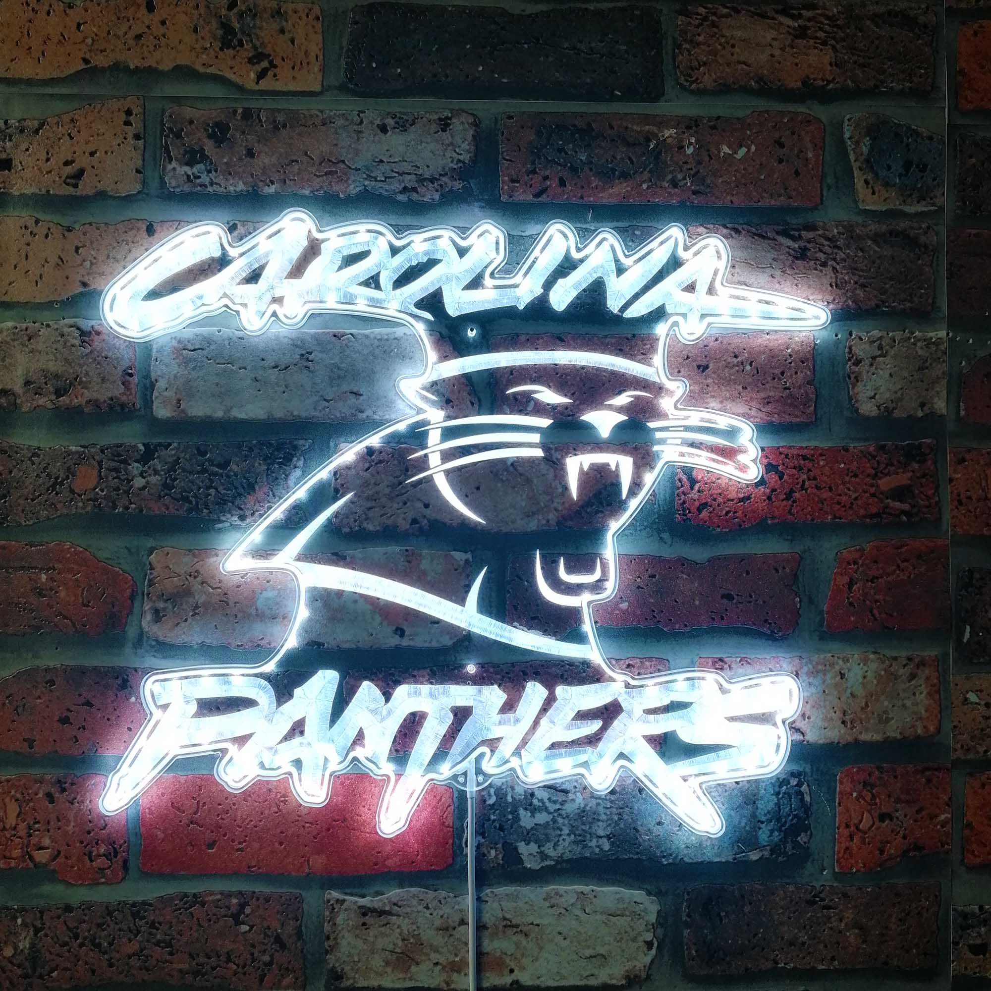 Carolina Panthers Dynamic RGB Light Neon Led Light Sign