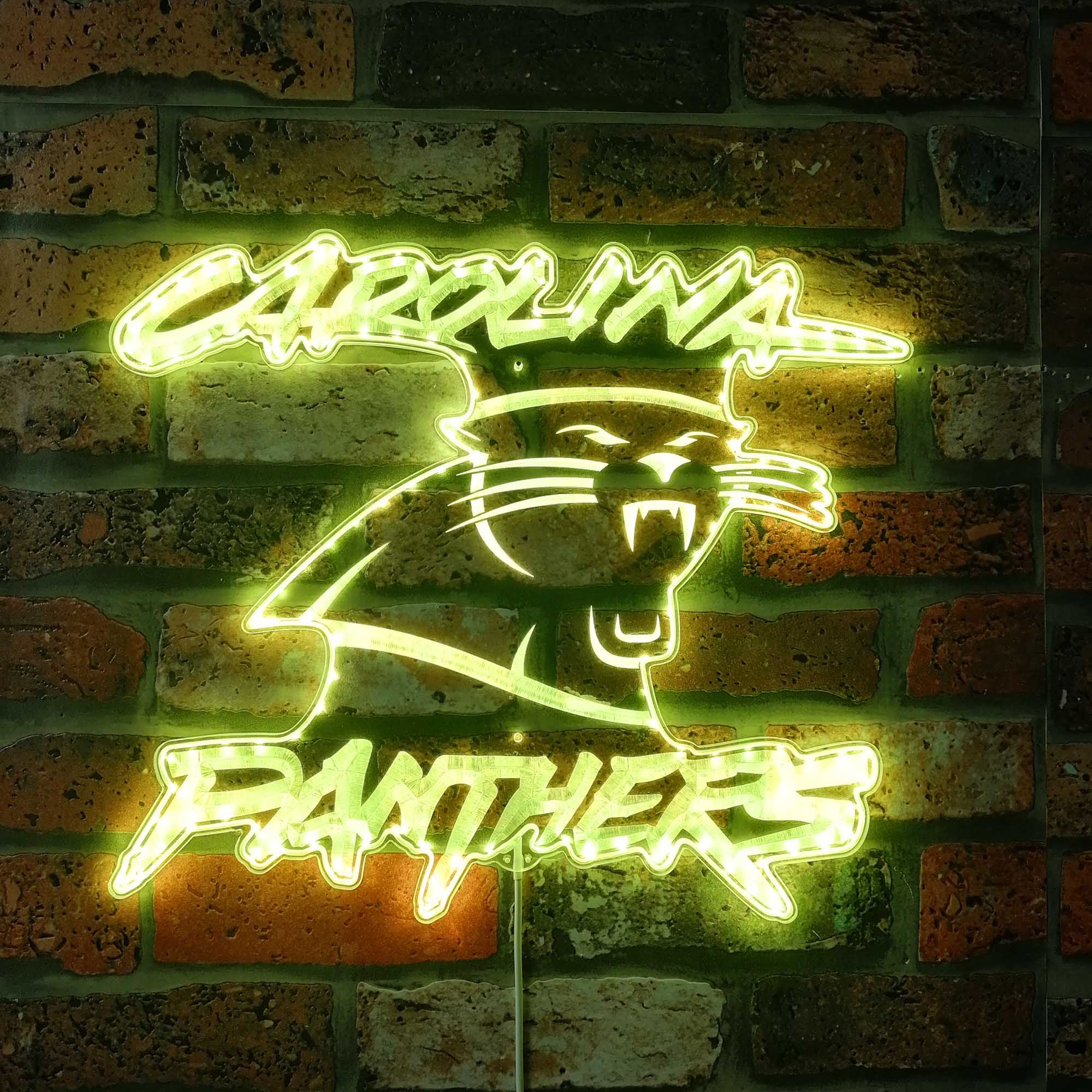 Carolina Panthers Dynamic RGB Light Neon Led Light Sign